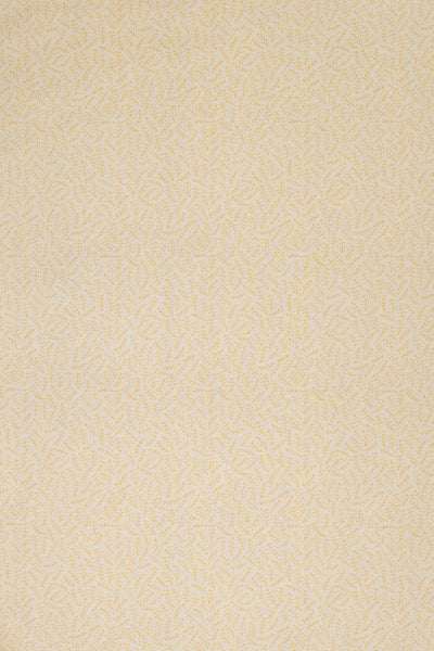 jm-1121 yellow_ESSENTIALS