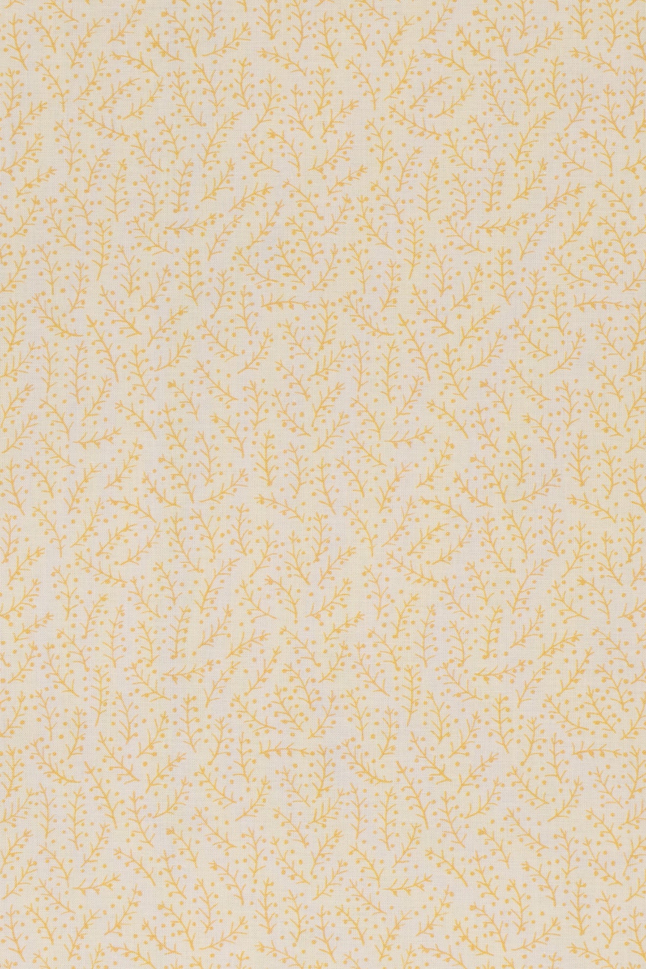 jm-1121 yellow_ESSENTIALS