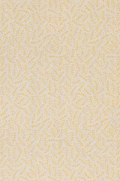 jm-1121 yellow_ESSENTIALS
