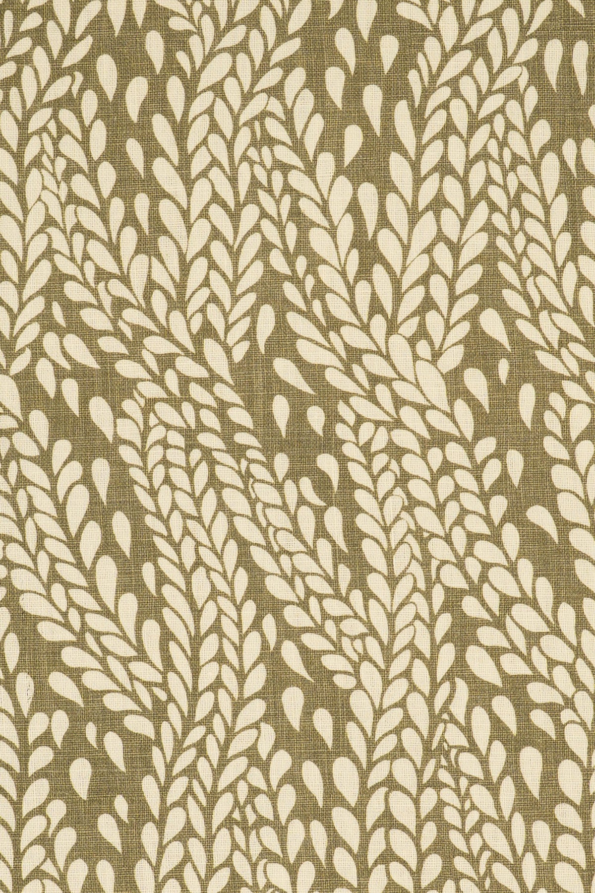 9- green olive_WINTER WHEAT