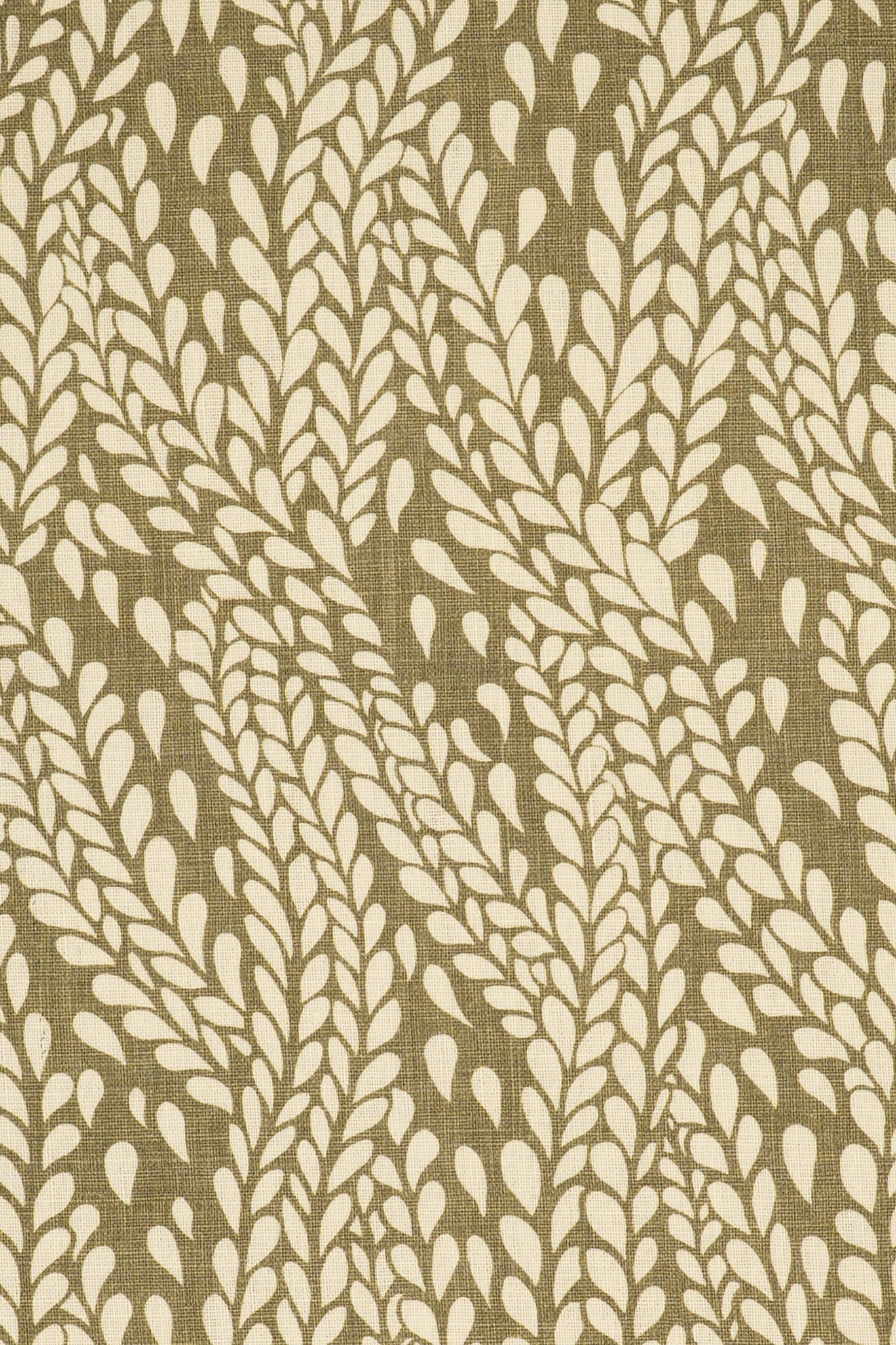 9- green olive_WINTER WHEAT