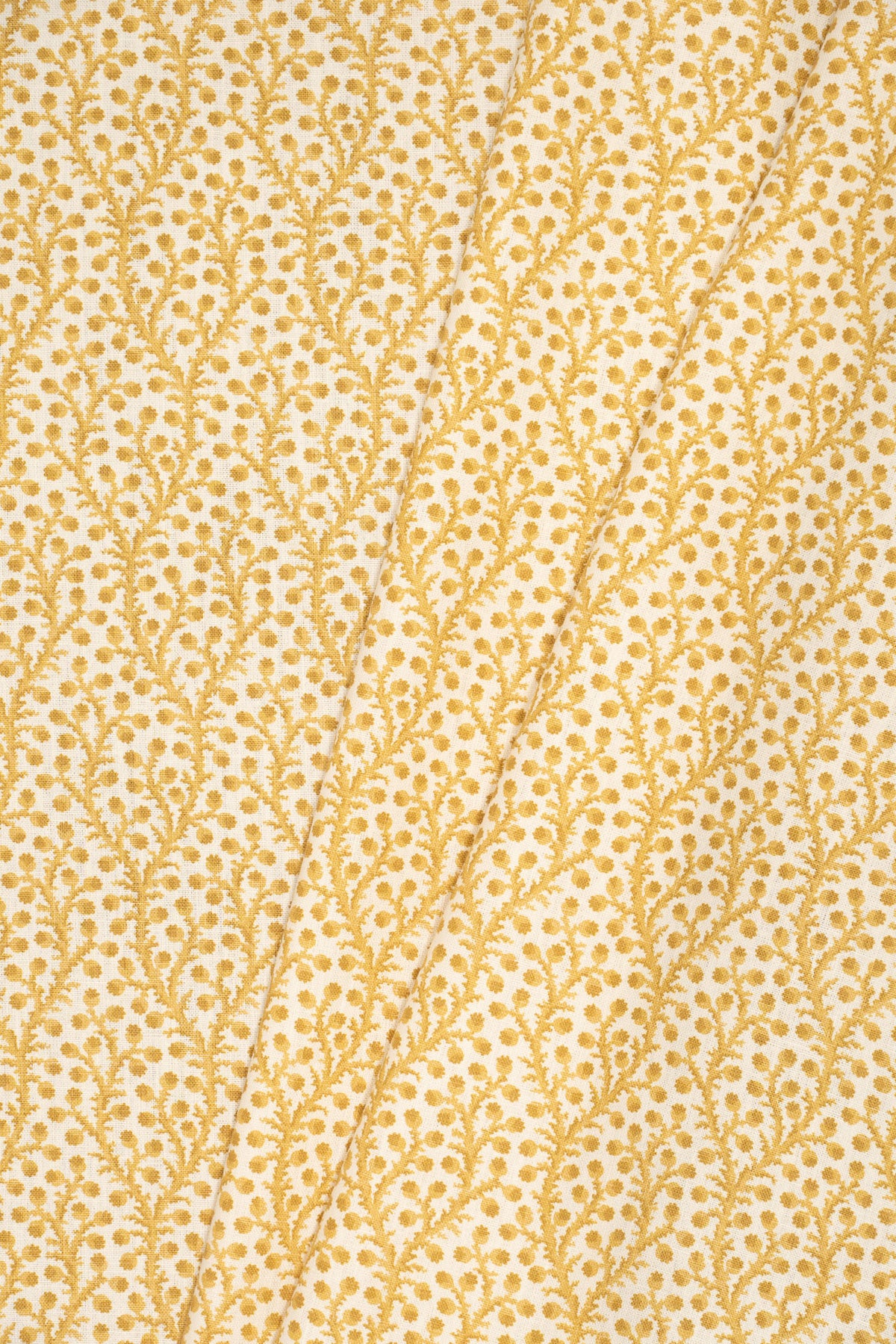 2-haystack yellow_WATERBERRY