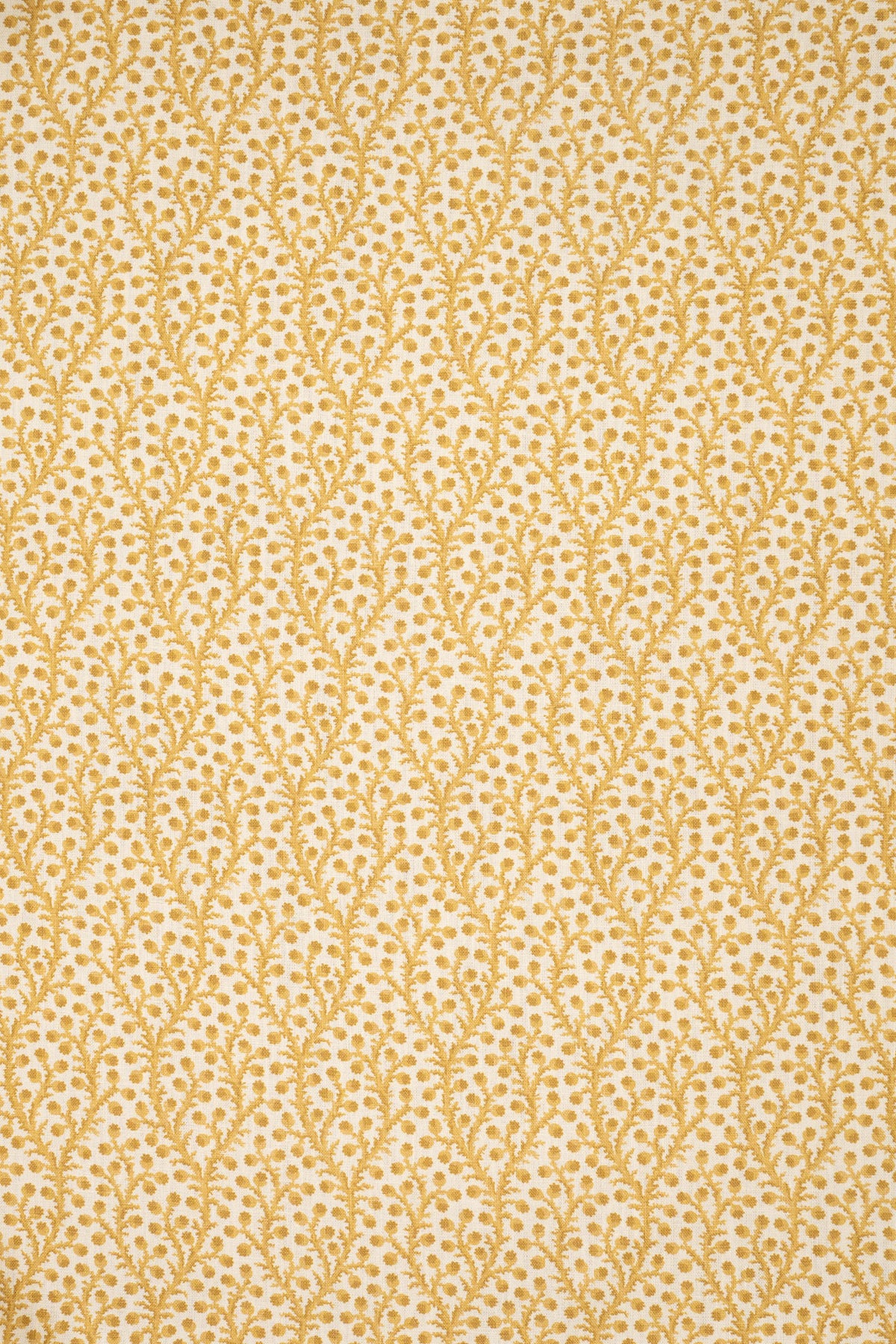 2-haystack yellow_WATERBERRY