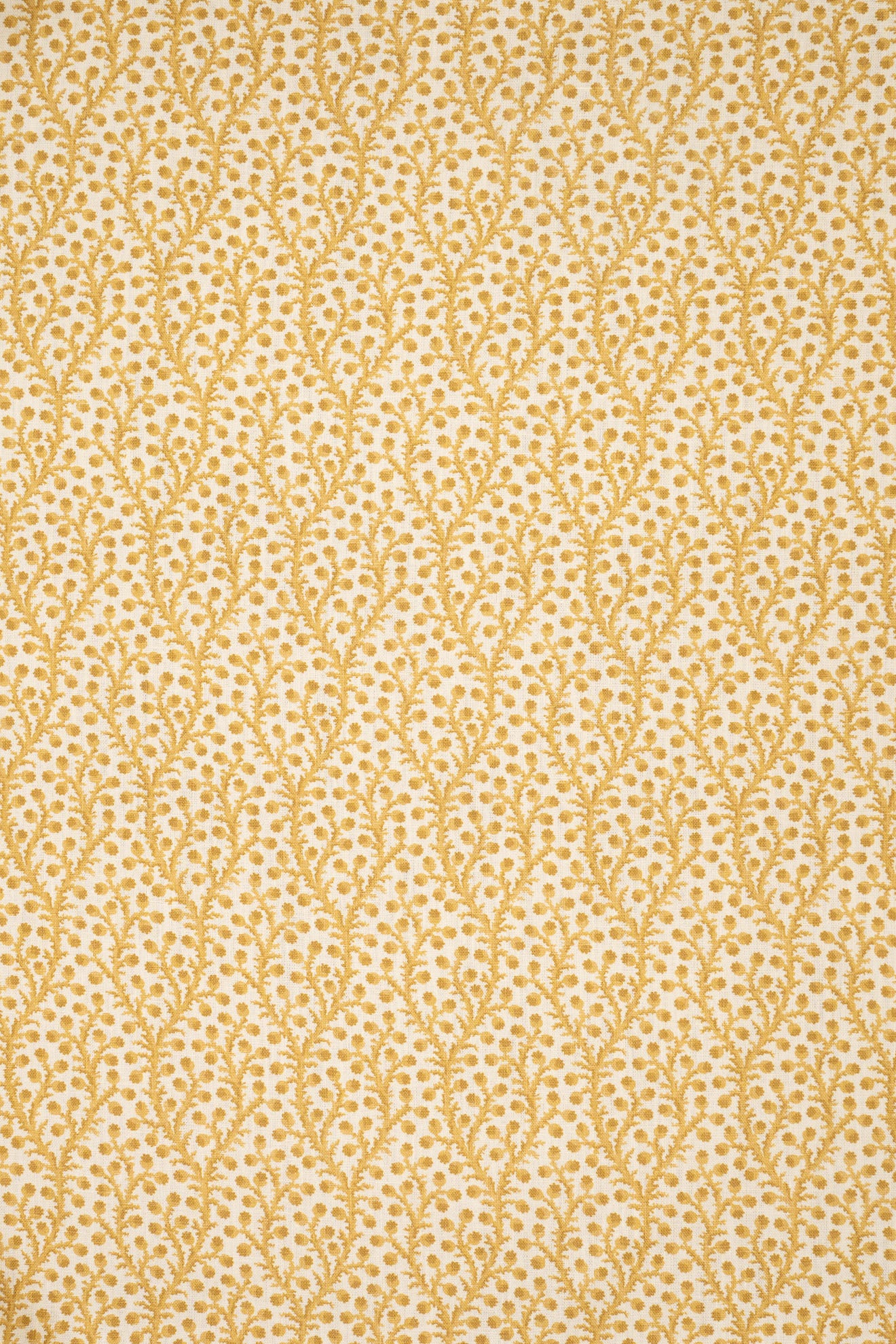 2-haystack yellow_WATERBERRY