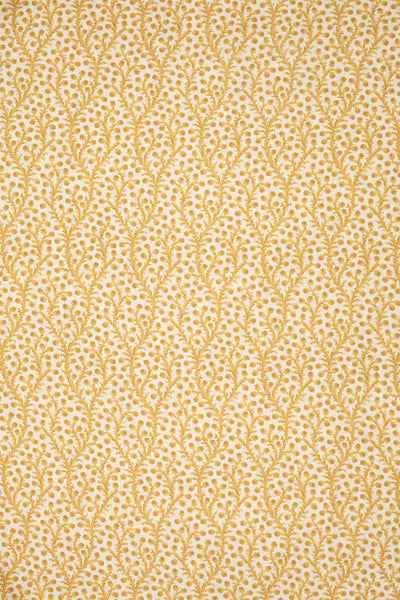 2-haystack yellow_WATERBERRY