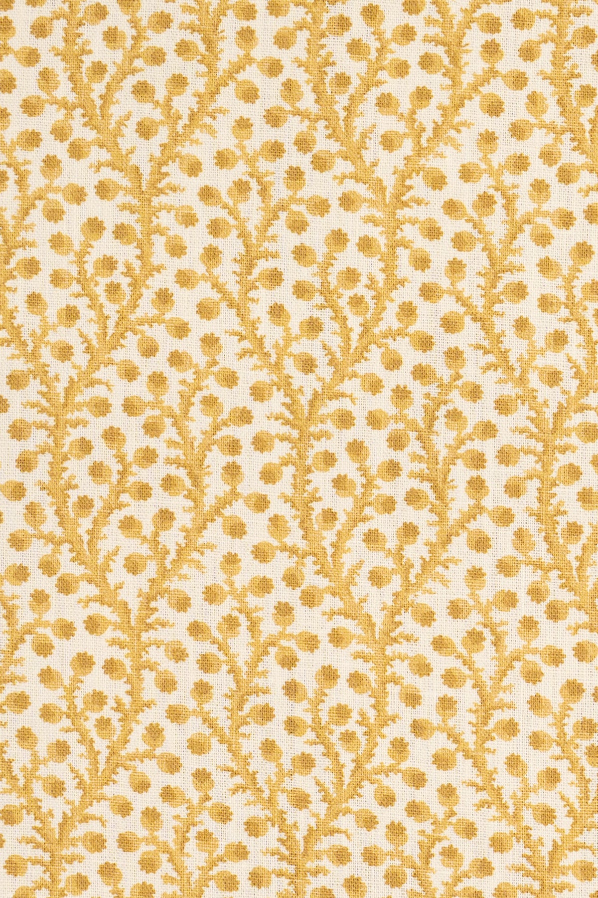 2-haystack yellow_WATERBERRY