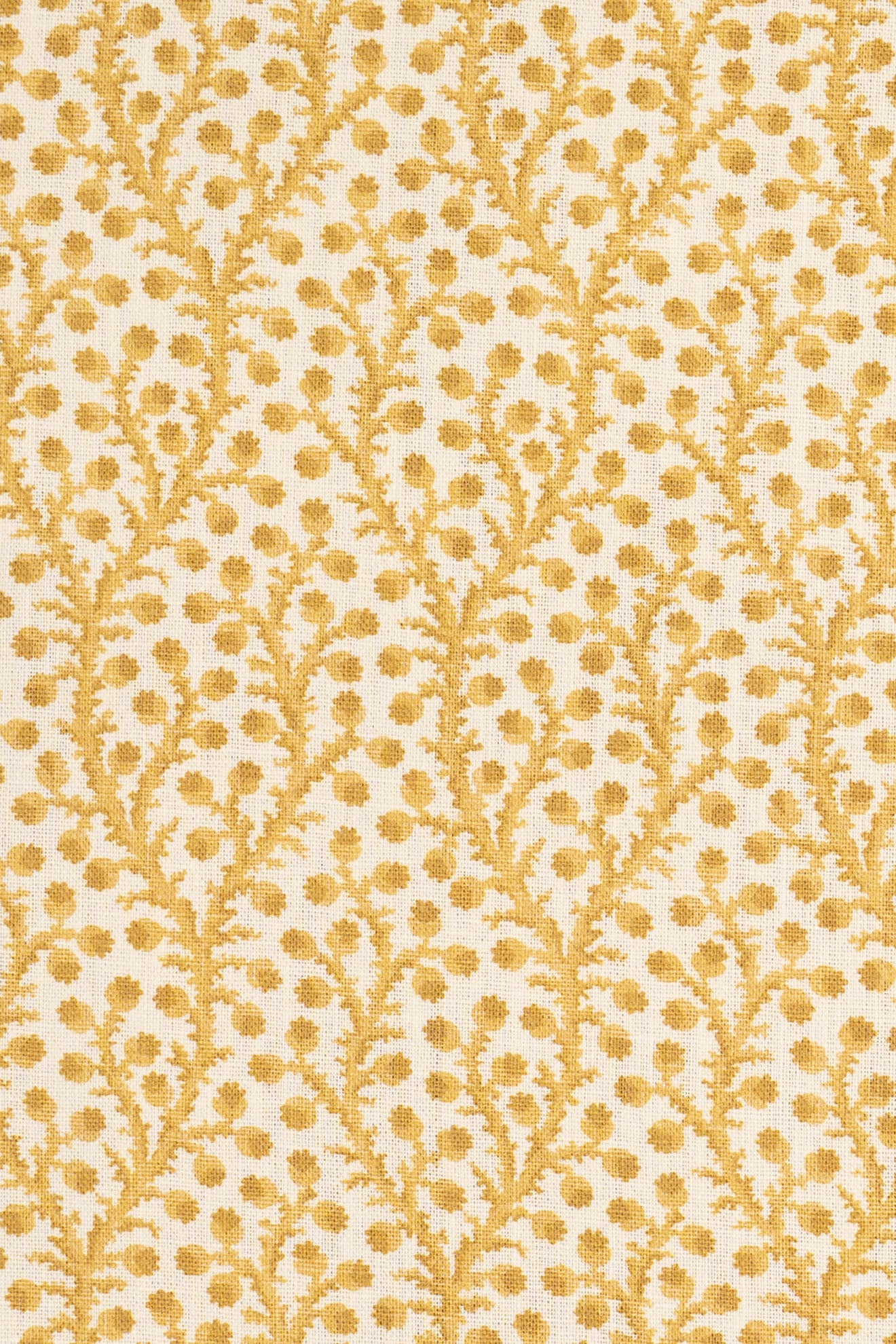 2-haystack yellow_WATERBERRY