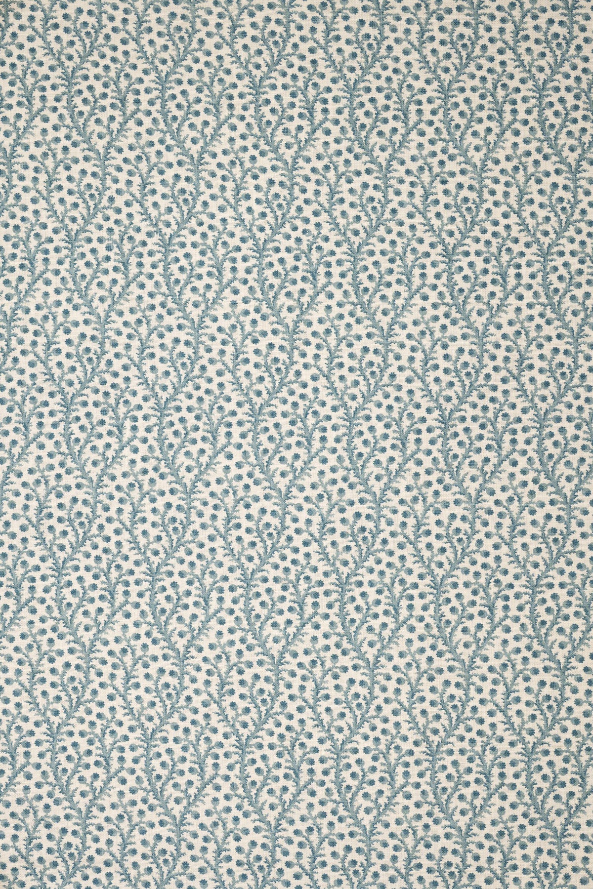 4-heavenly blue_WATERBERRY