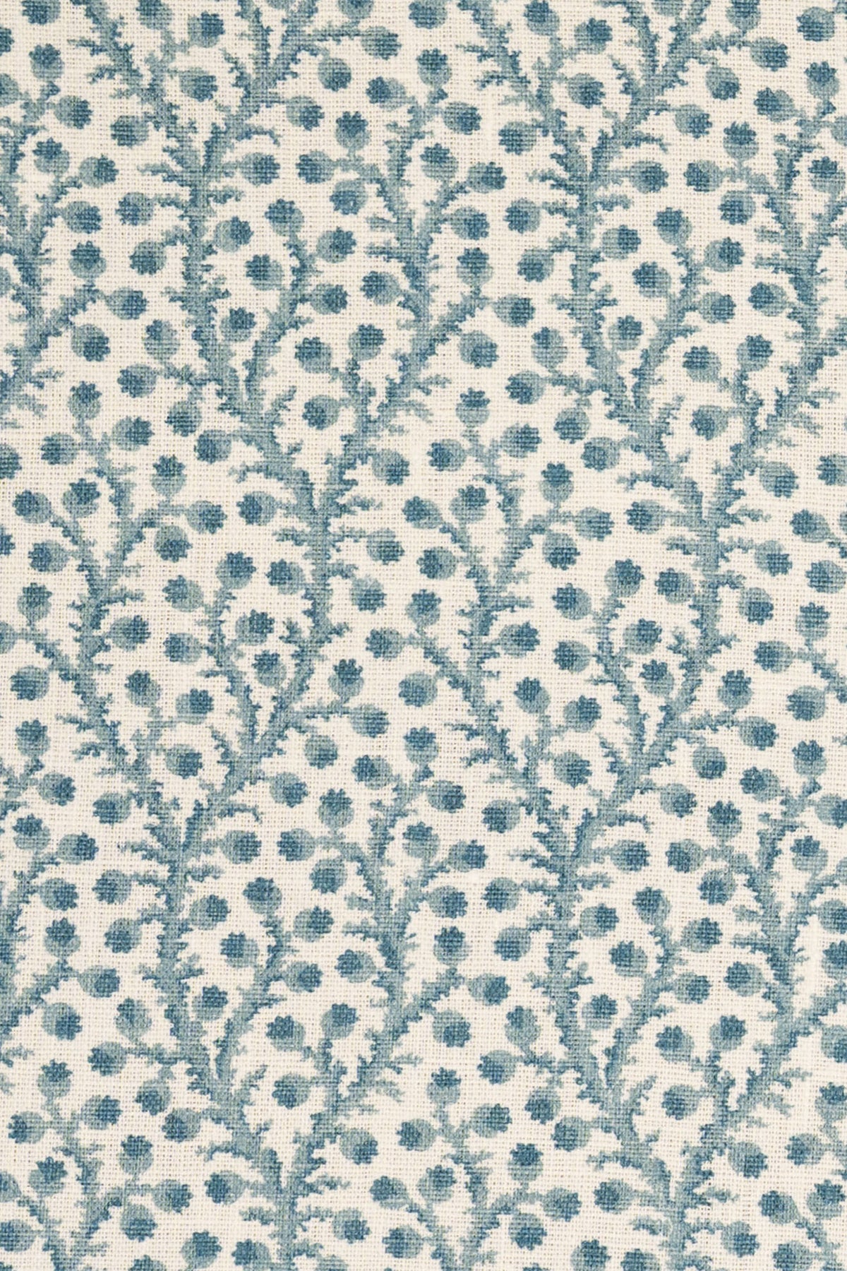 4-heavenly blue_WATERBERRY