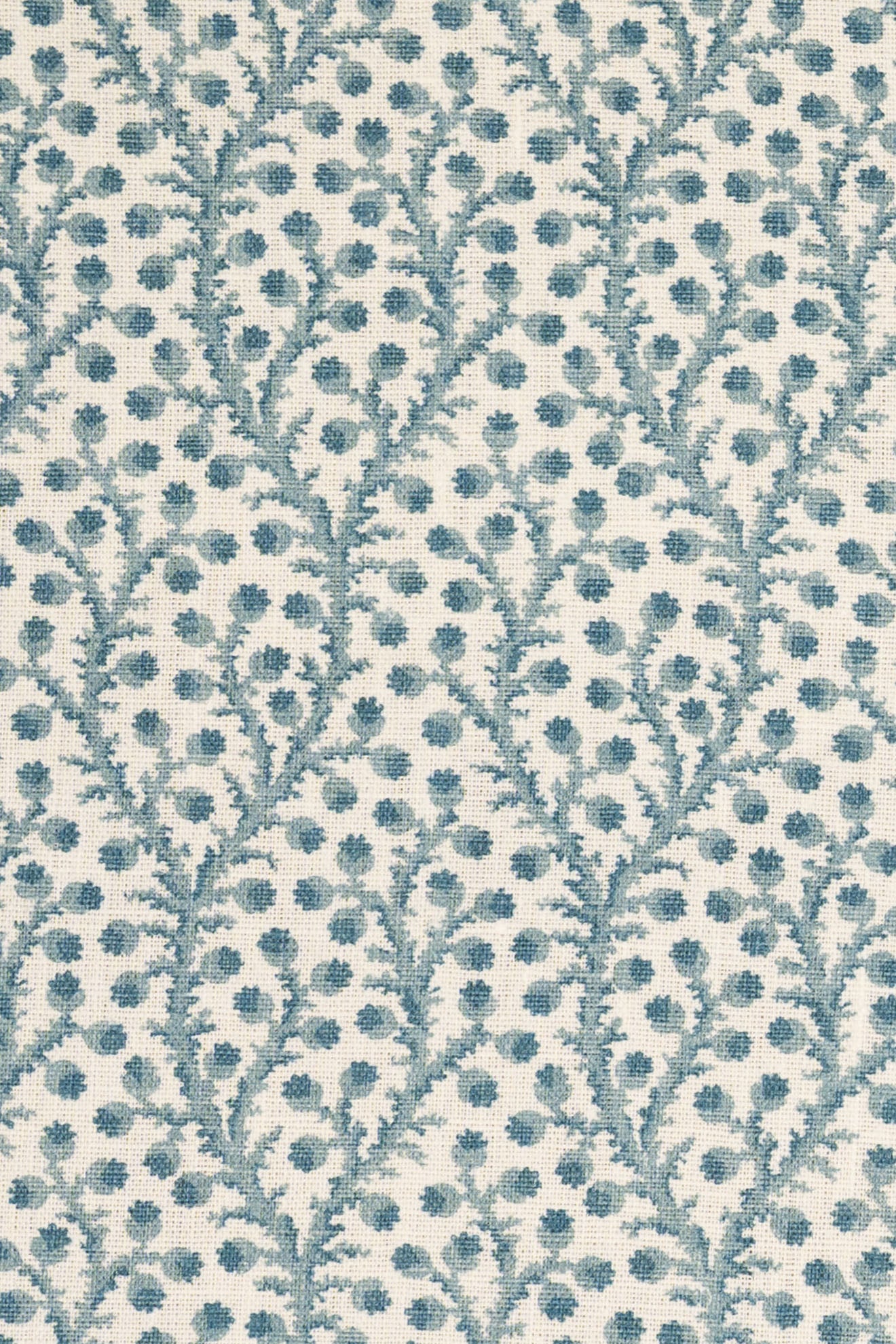 4-heavenly blue_WATERBERRY