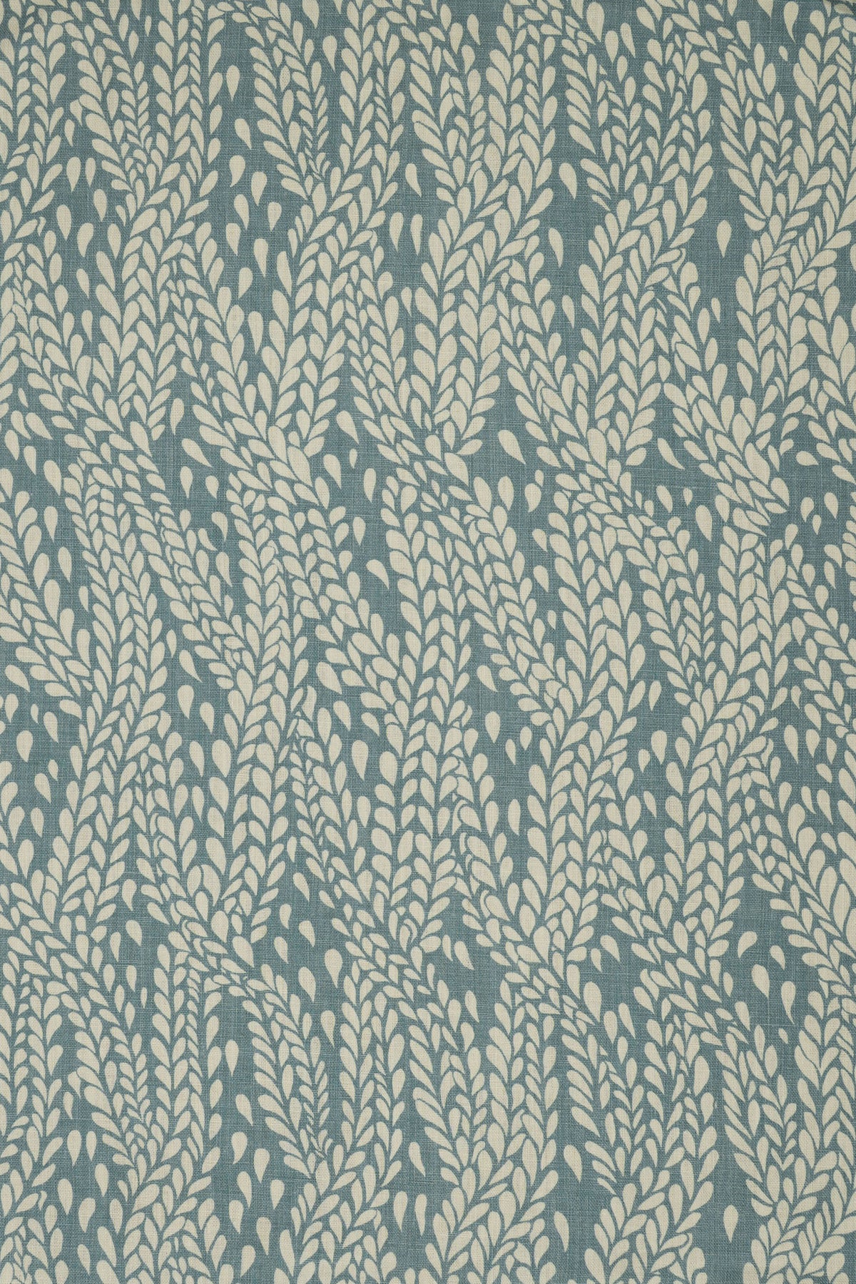 4-heavenly blue_WINTER WHEAT