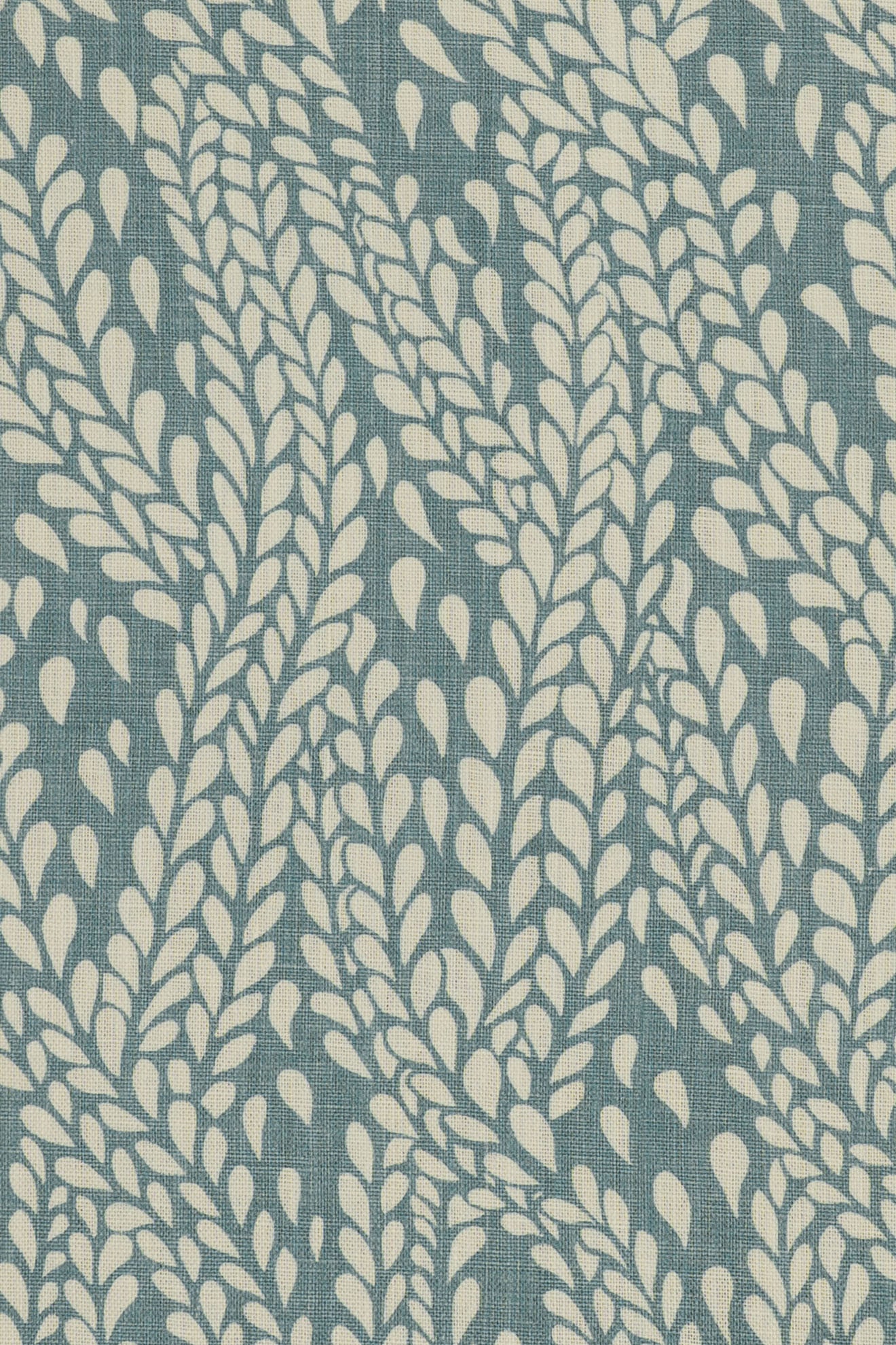 4-heavenly blue_WINTER WHEAT