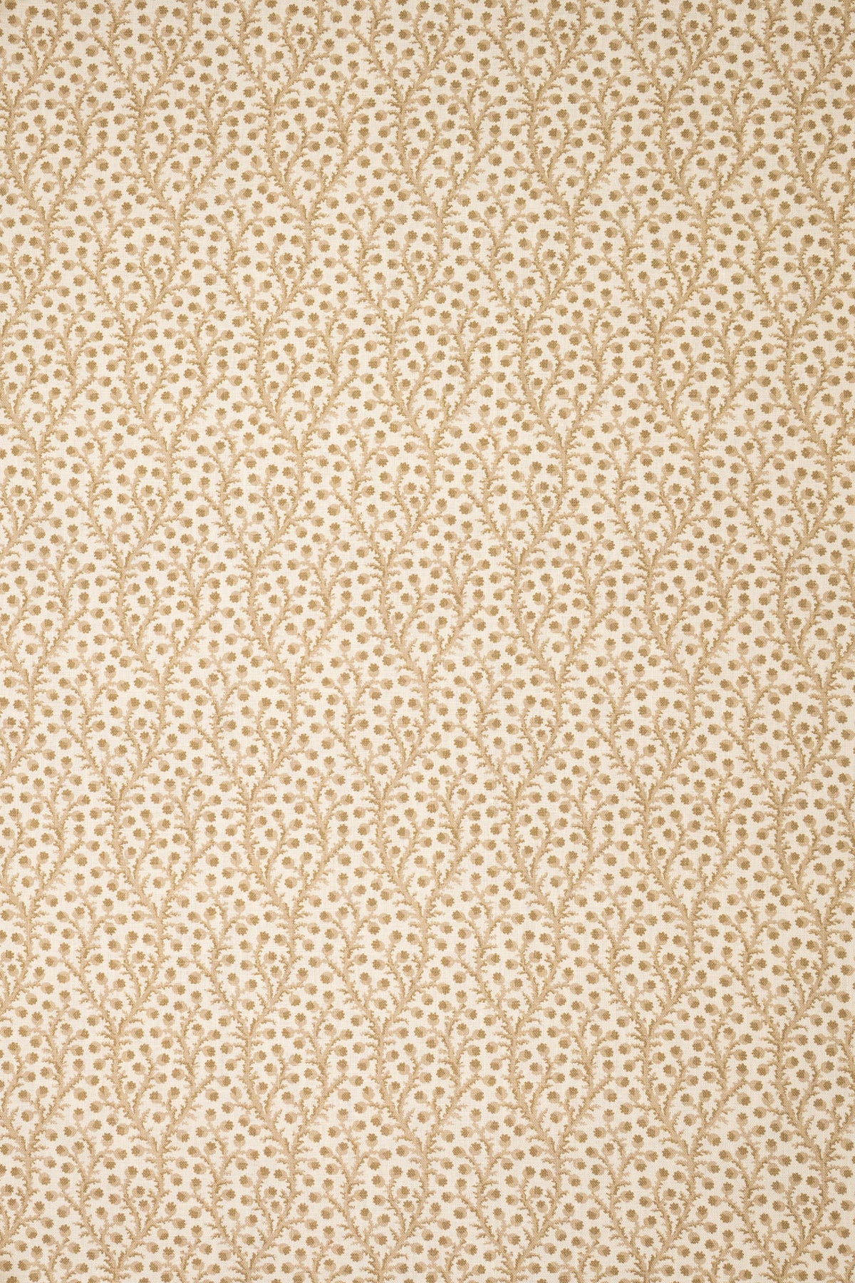 10- moonlight beige_WATERBERRY