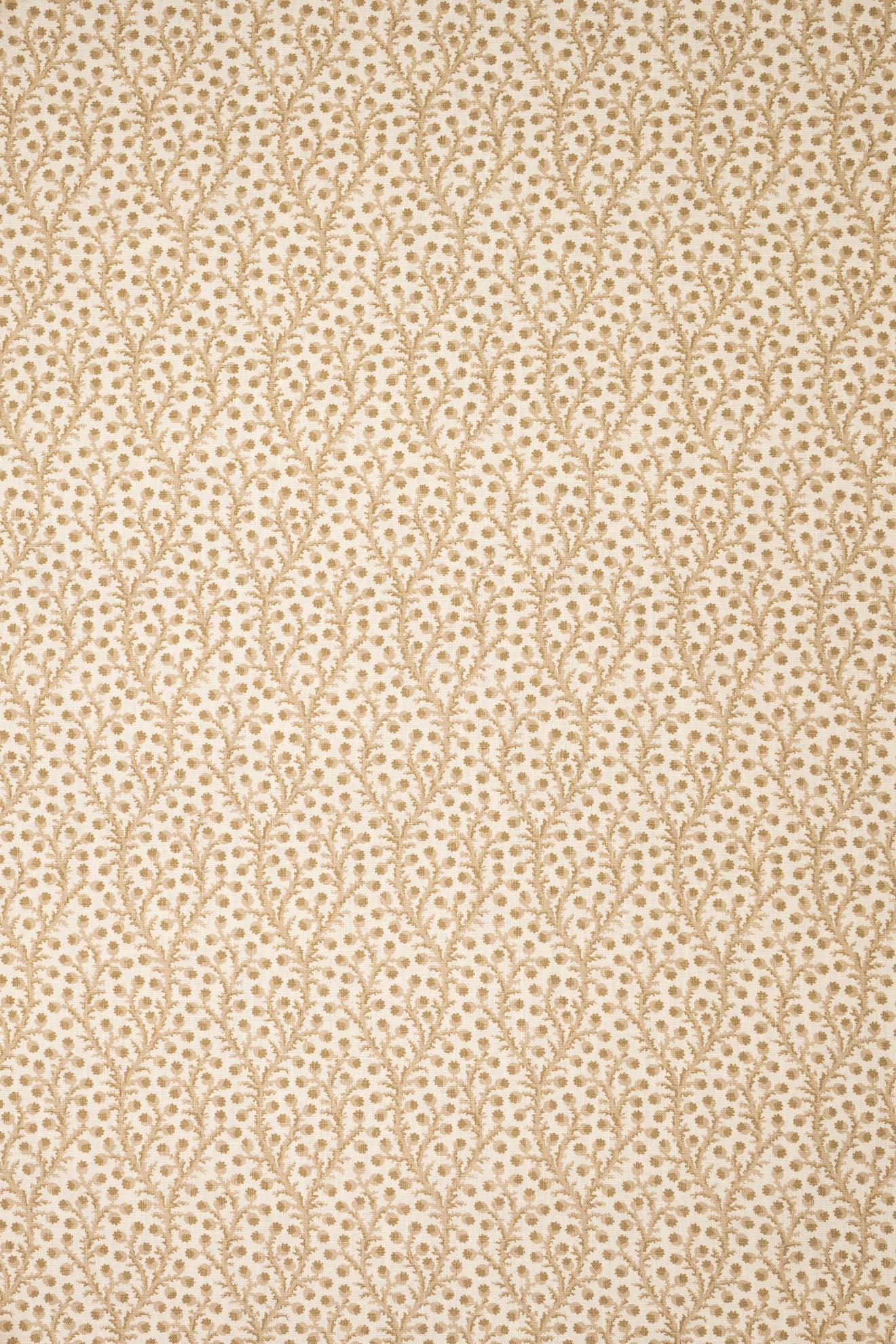 10- moonlight beige_WATERBERRY