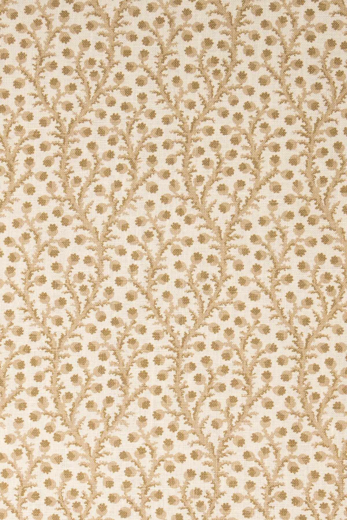 10- moonlight beige_WATERBERRY