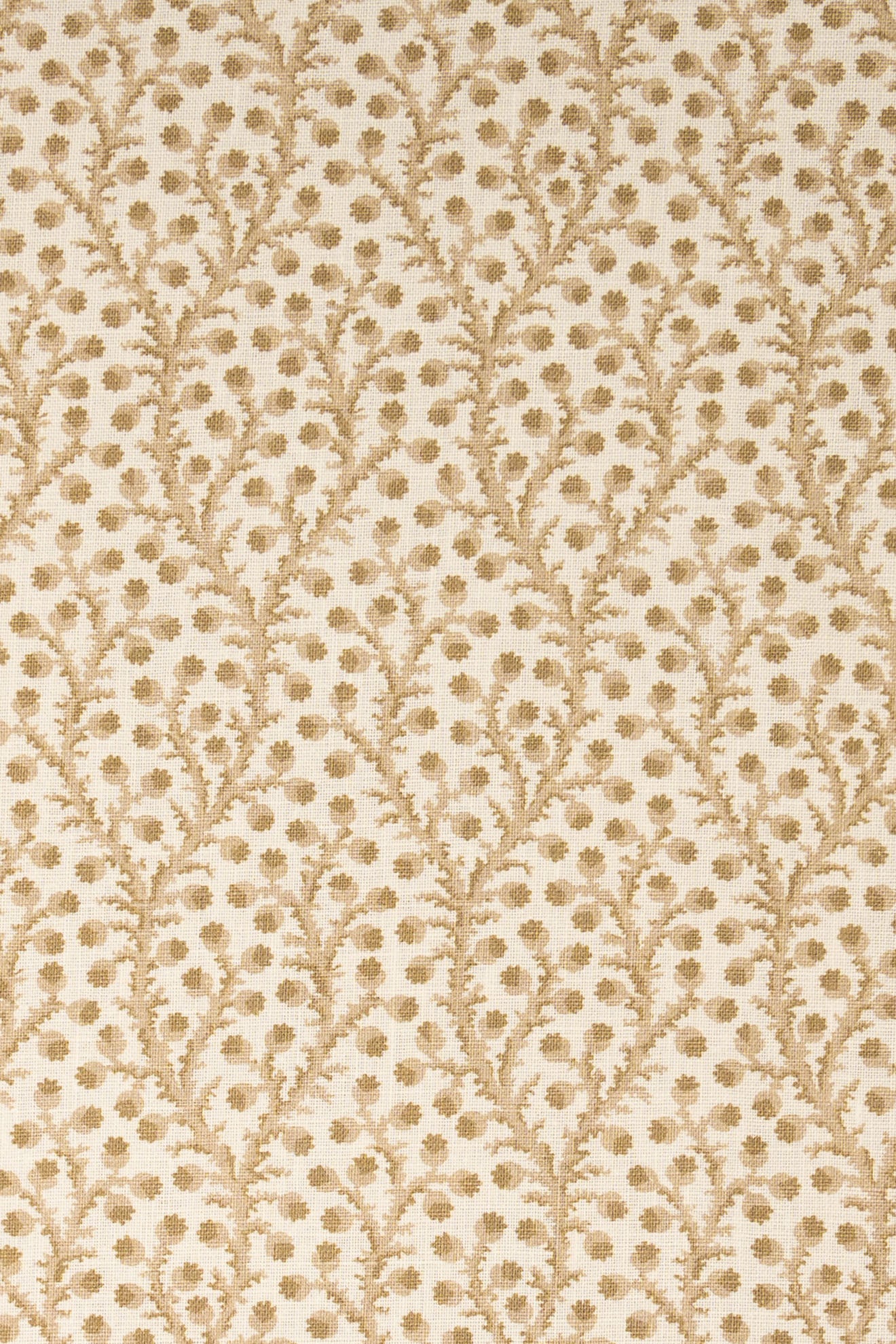 10- moonlight beige_WATERBERRY