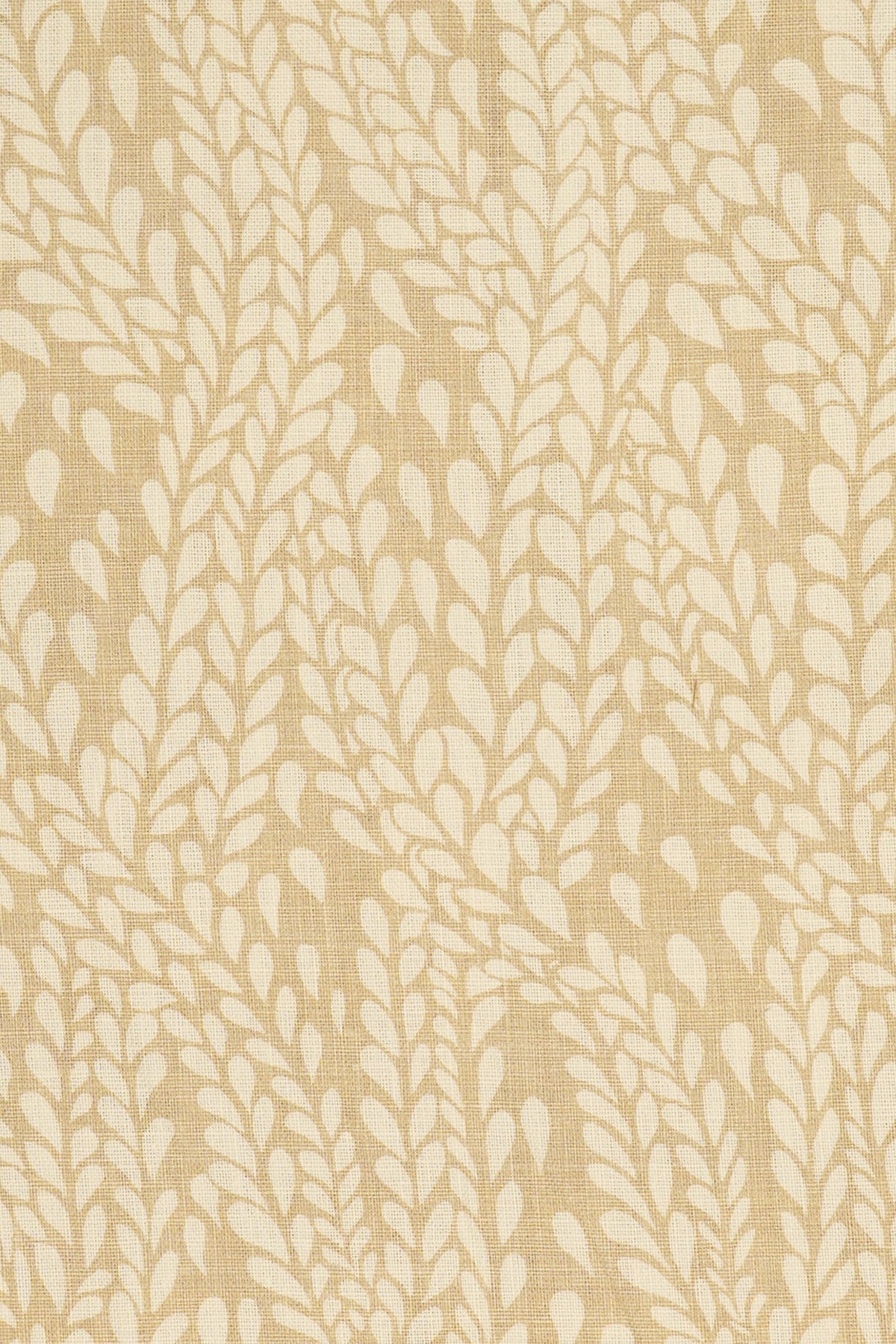10- moonlight beige_WINTER WHEAT