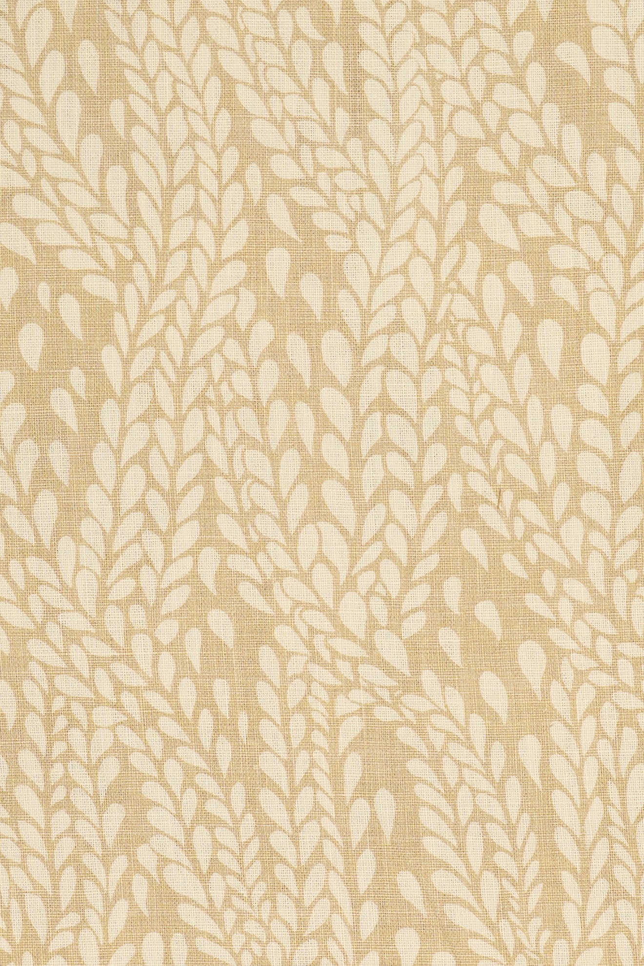 10- moonlight beige_WINTER WHEAT