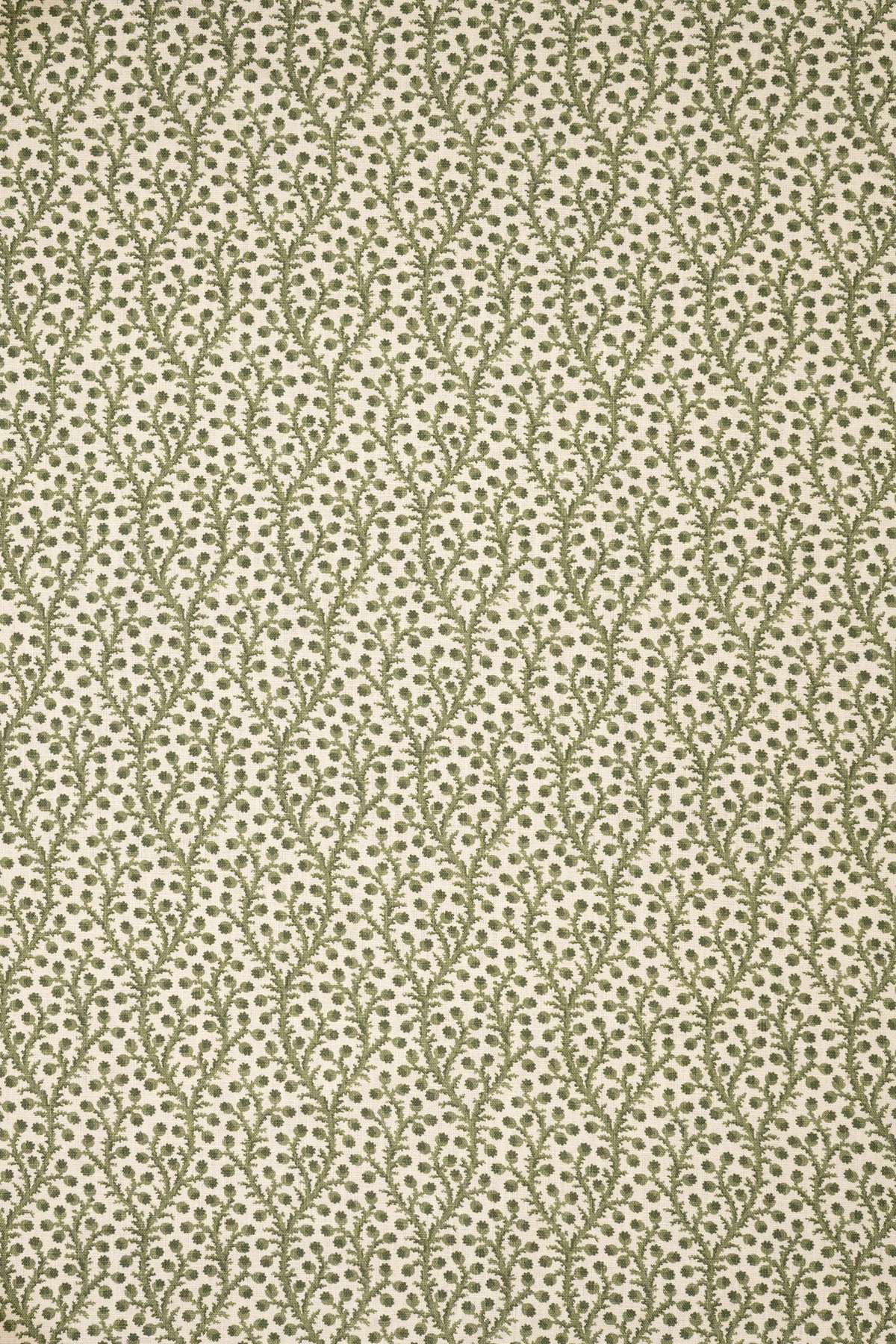 1- new mown green_WATERBERRY