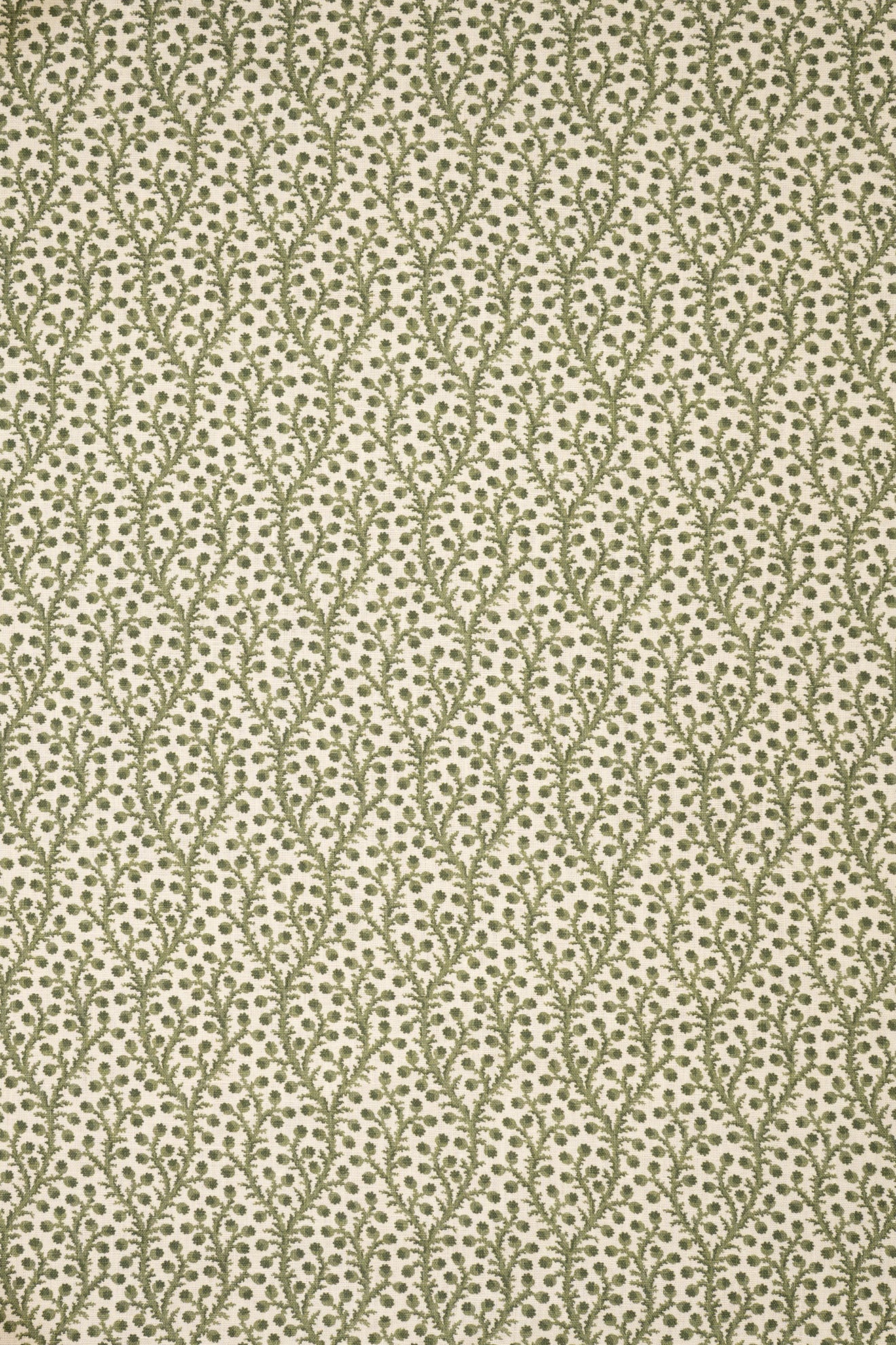 1- new mown green_WATERBERRY