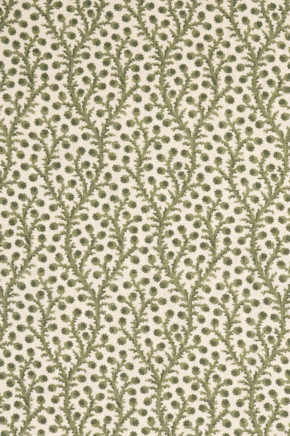 1- new mown green_WATERBERRY