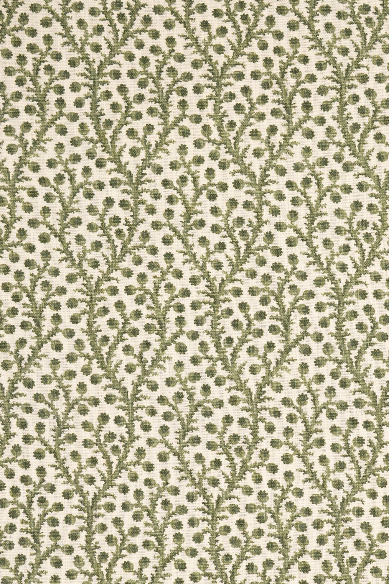 1- new mown green_WATERBERRY