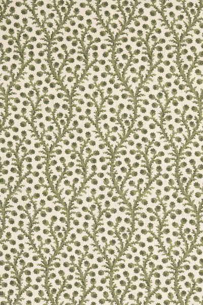 1- new mown green_WATERBERRY