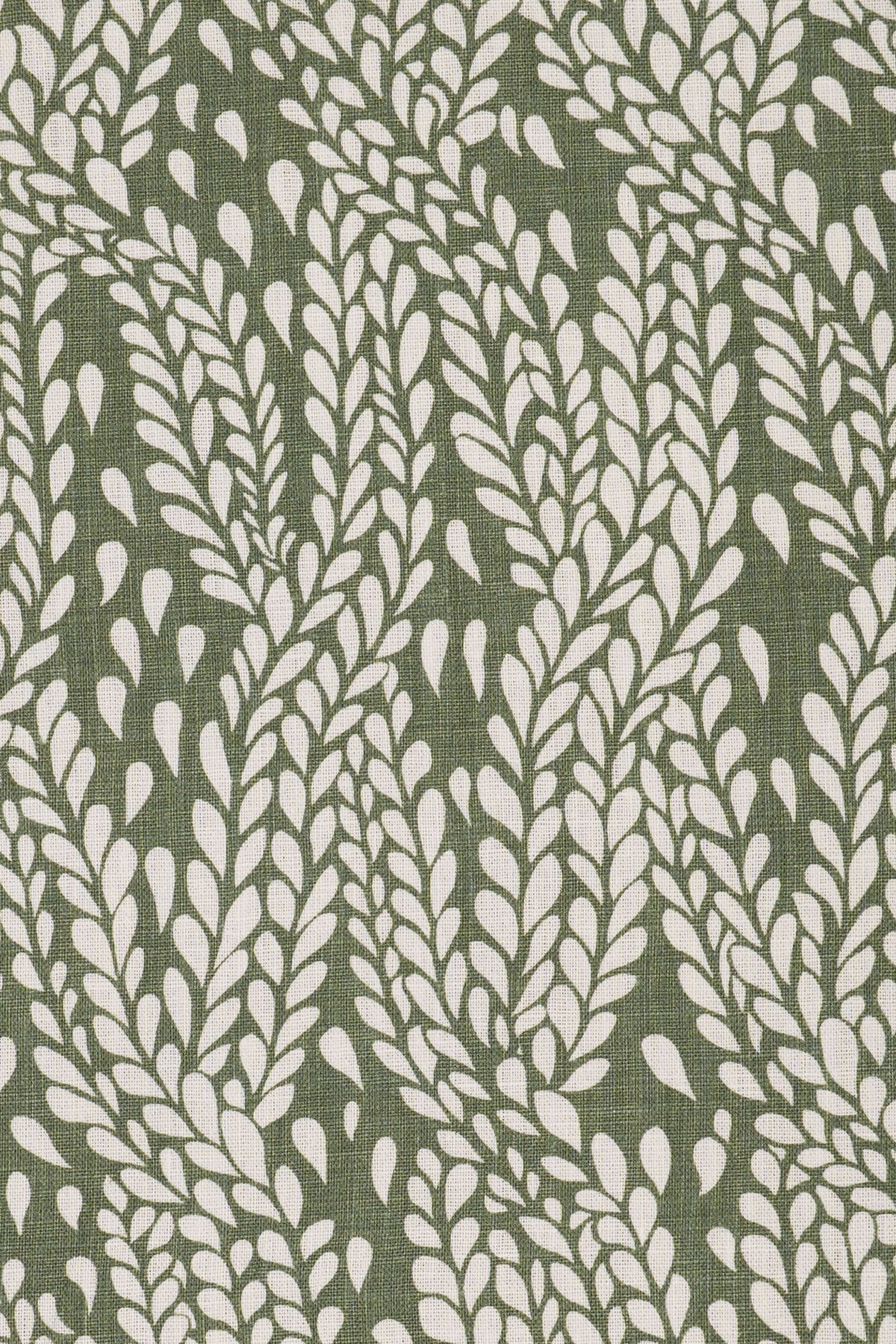 1- new mown green_WINTER WHEAT