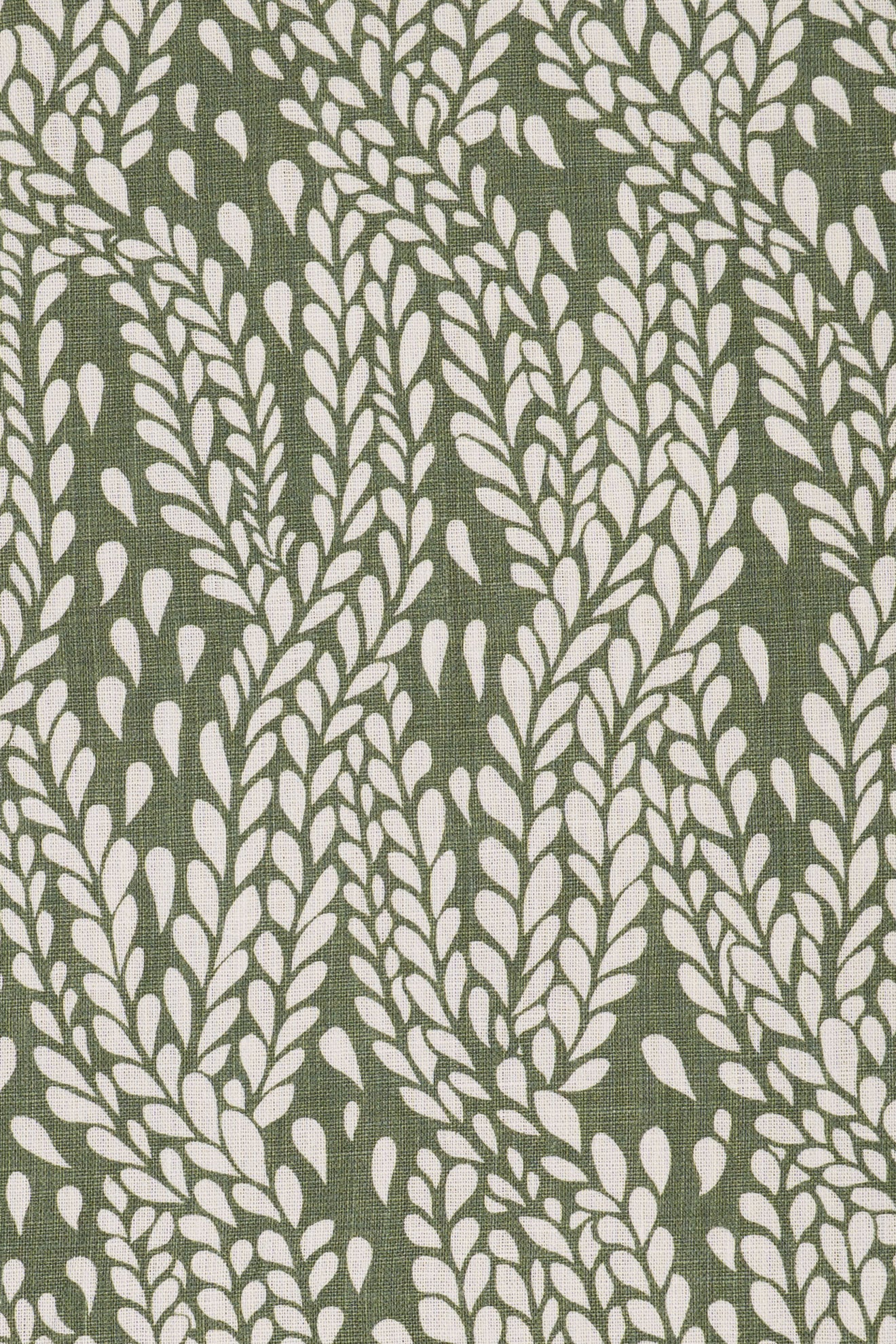 1- new mown green_WINTER WHEAT
