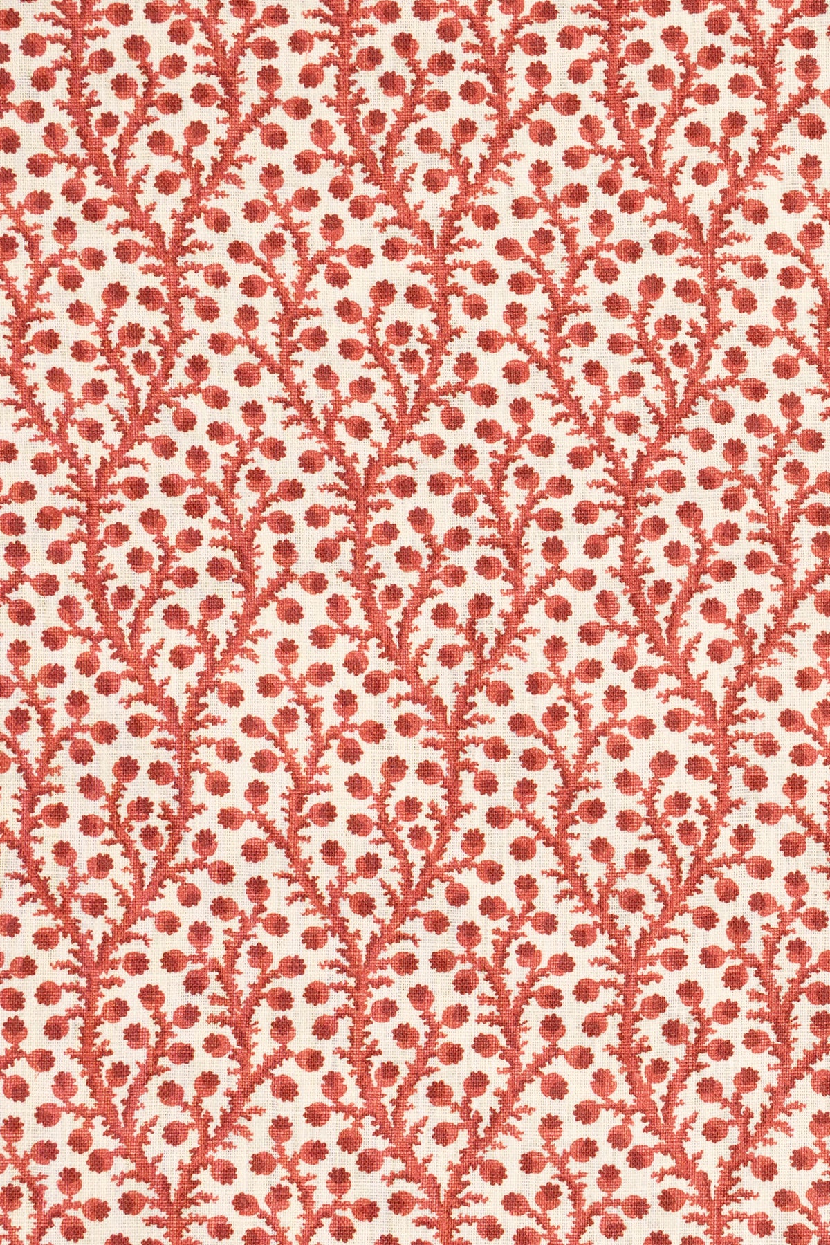 3-pomegrante red_WATERBERRY