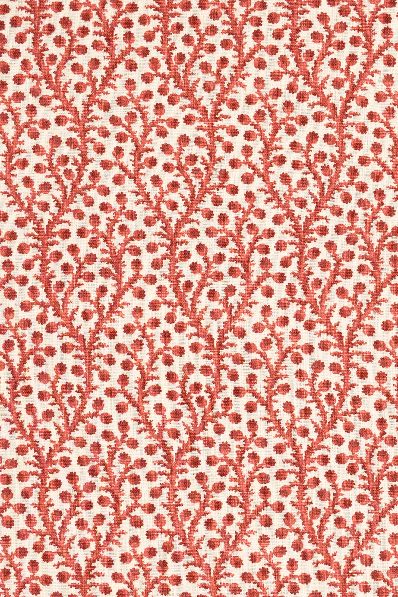 3-pomegrante red_WATERBERRY