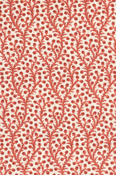 3-pomegrante red_WATERBERRY
