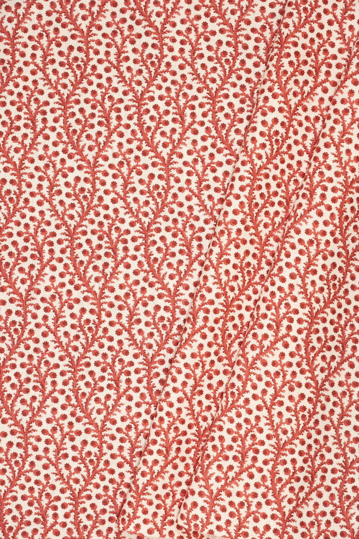 3-pomegrante red_WATERBERRY
