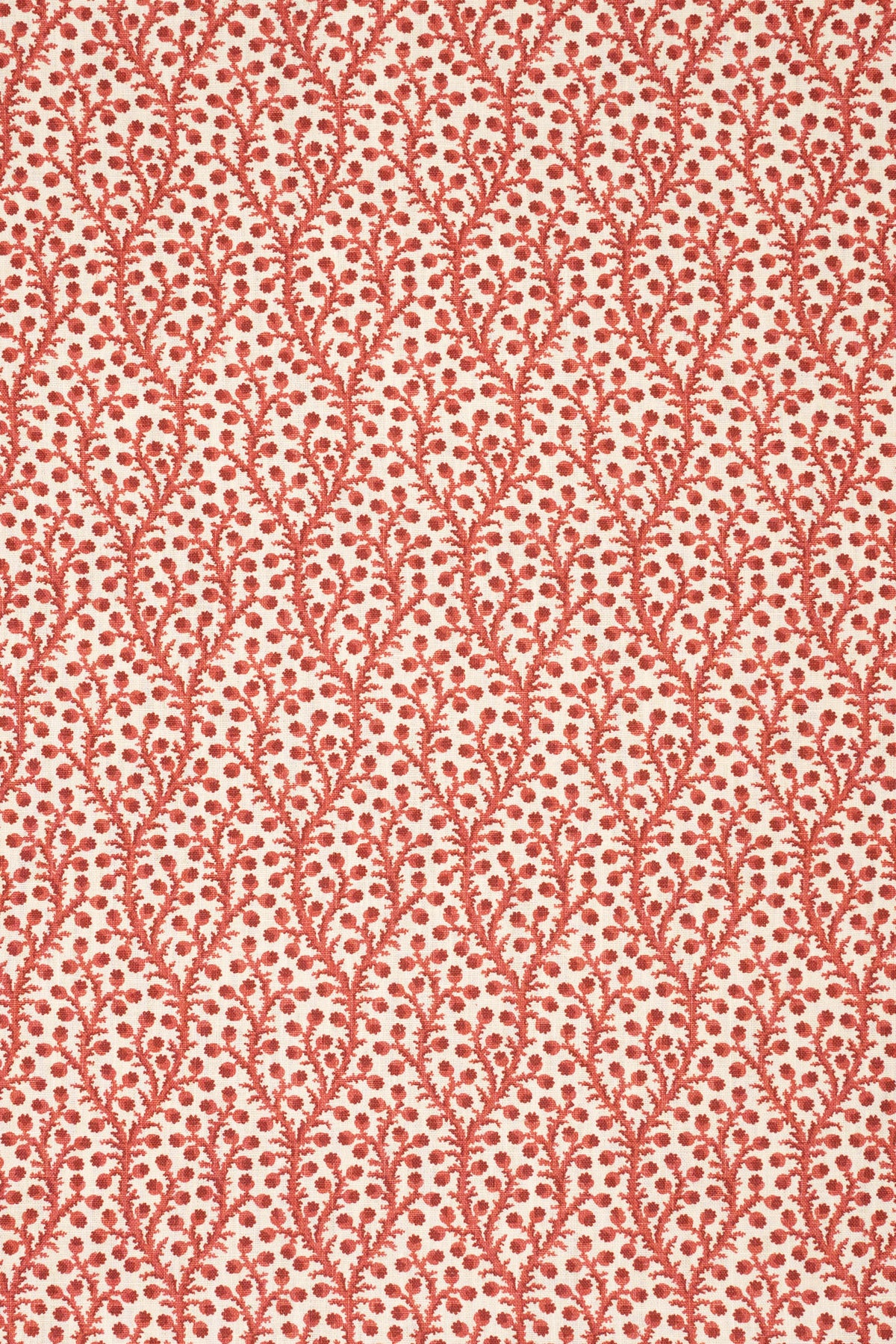 3-pomegrante red_WATERBERRY