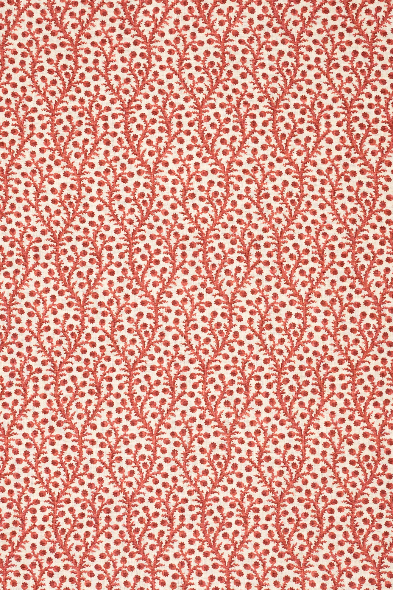 3-pomegrante red_WATERBERRY