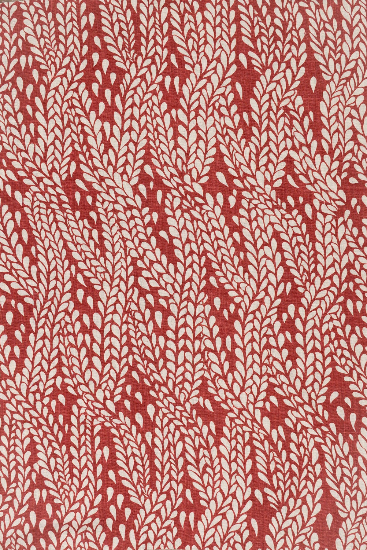 3-pomegranate red_WINTER WHEAT