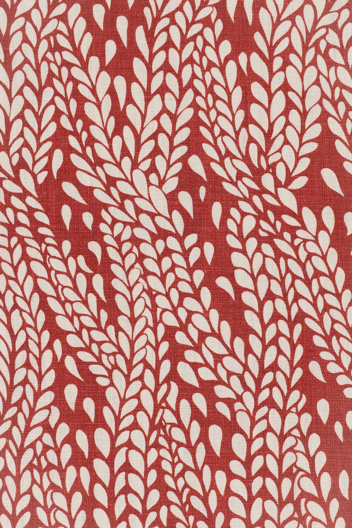 3-pomegranate red_WINTER WHEAT