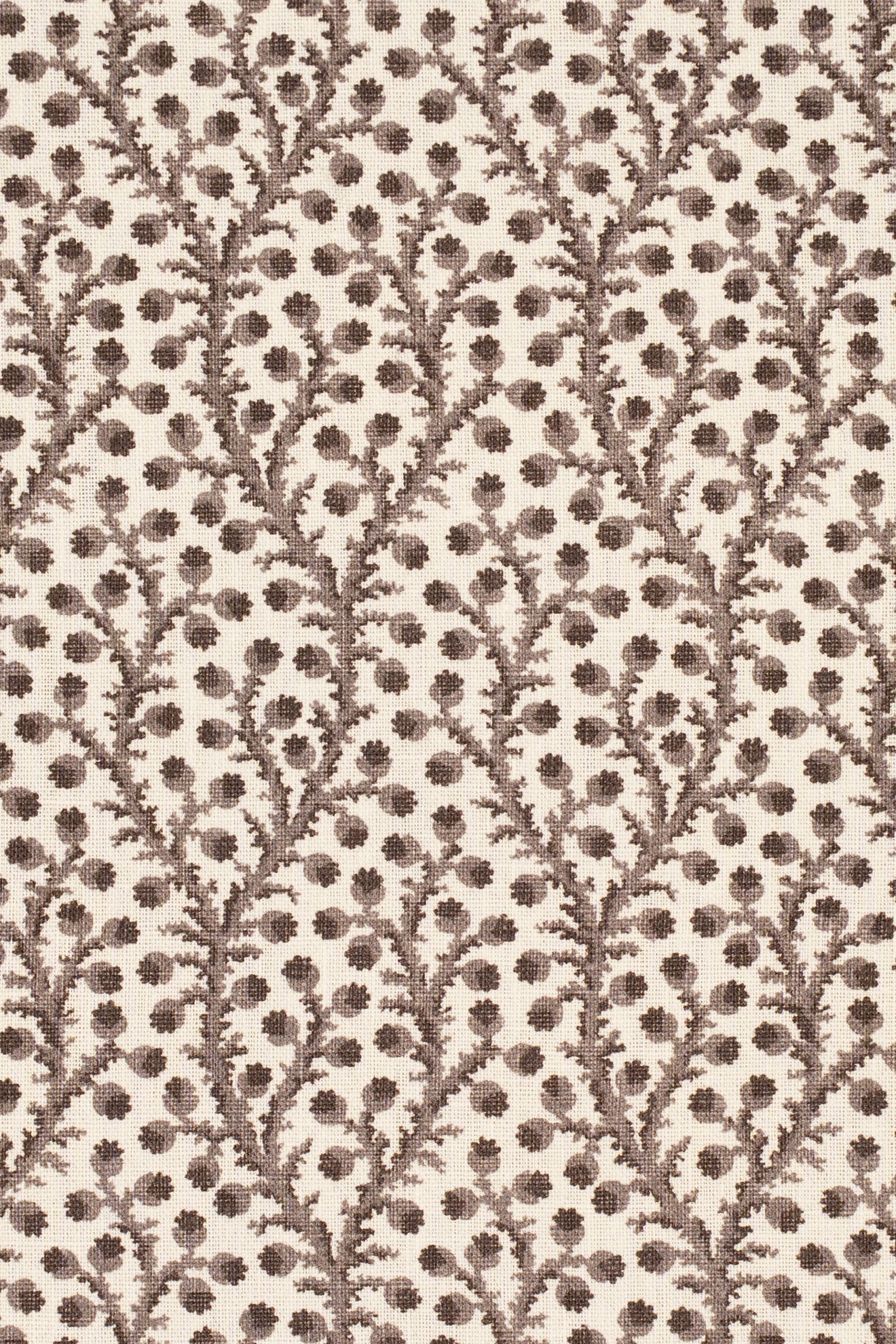 6- thatched roof taupe_WATERBERRY