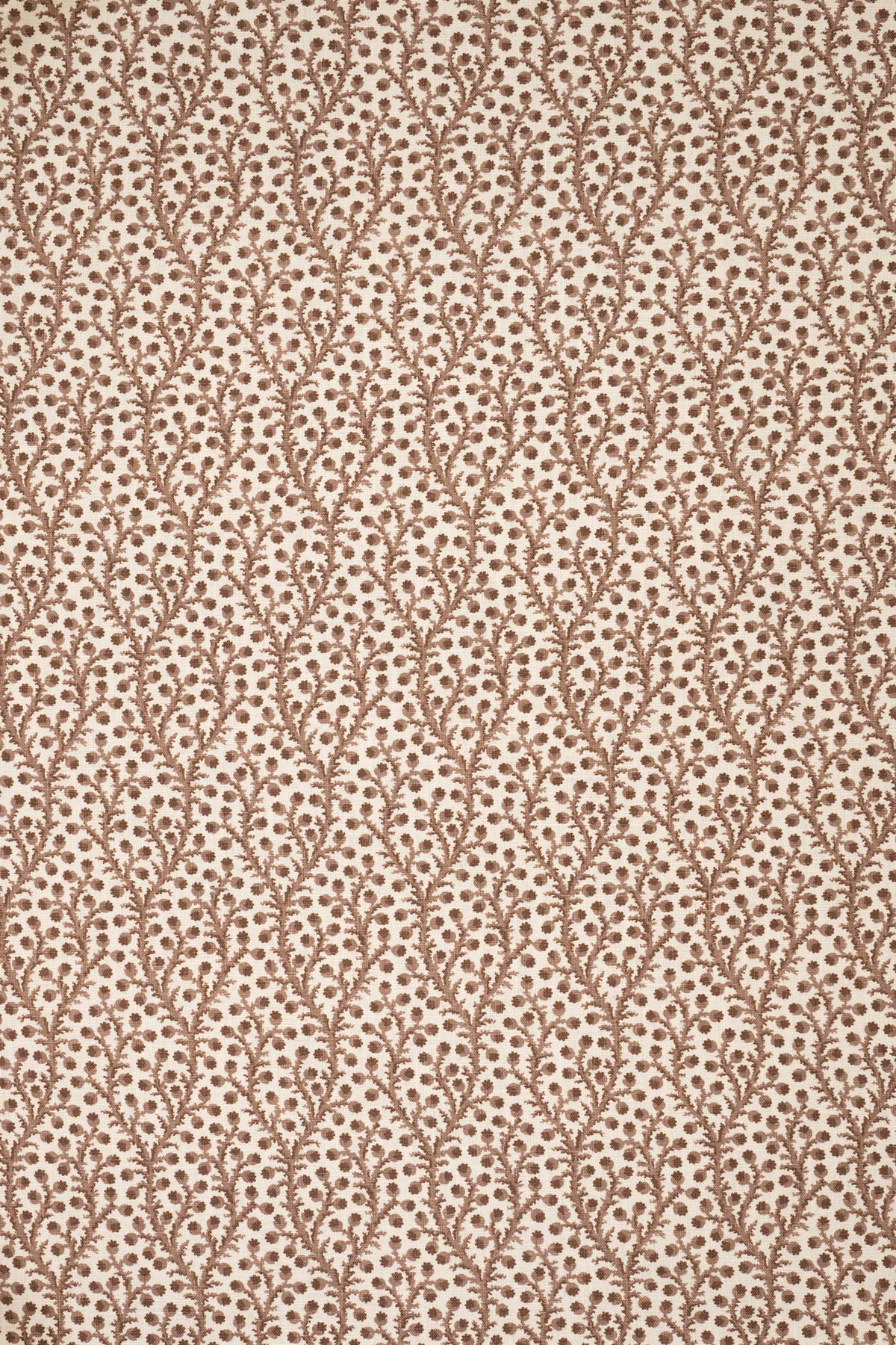 8- unearthly brown_WATERBERRY
