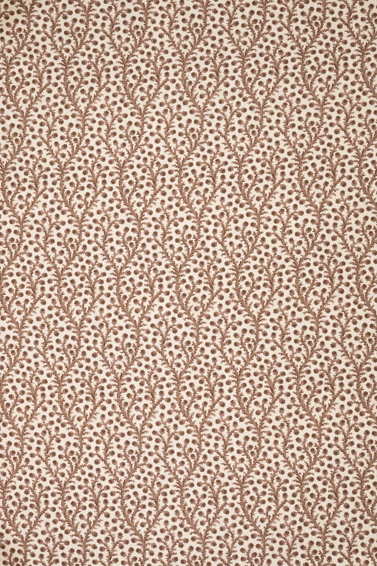 8- unearthly brown_WATERBERRY