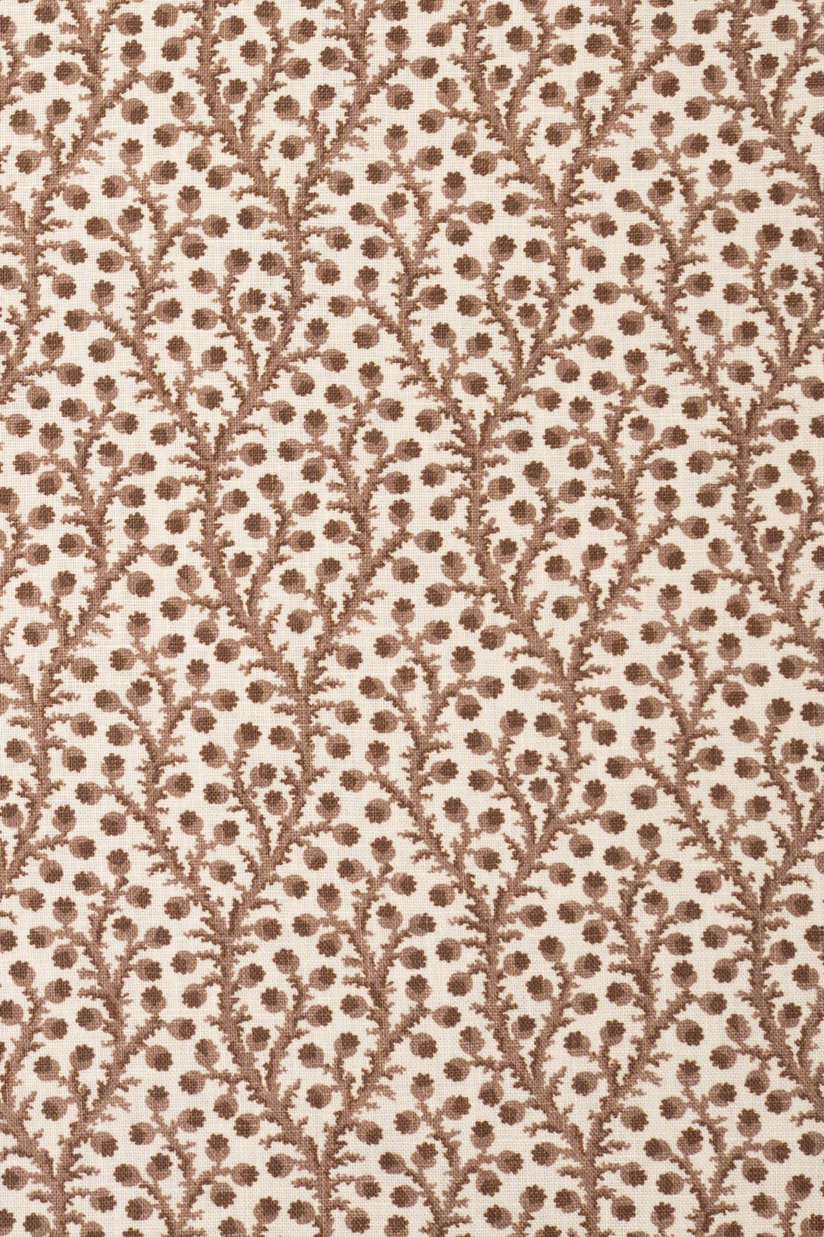 8- unearthly brown_WATERBERRY