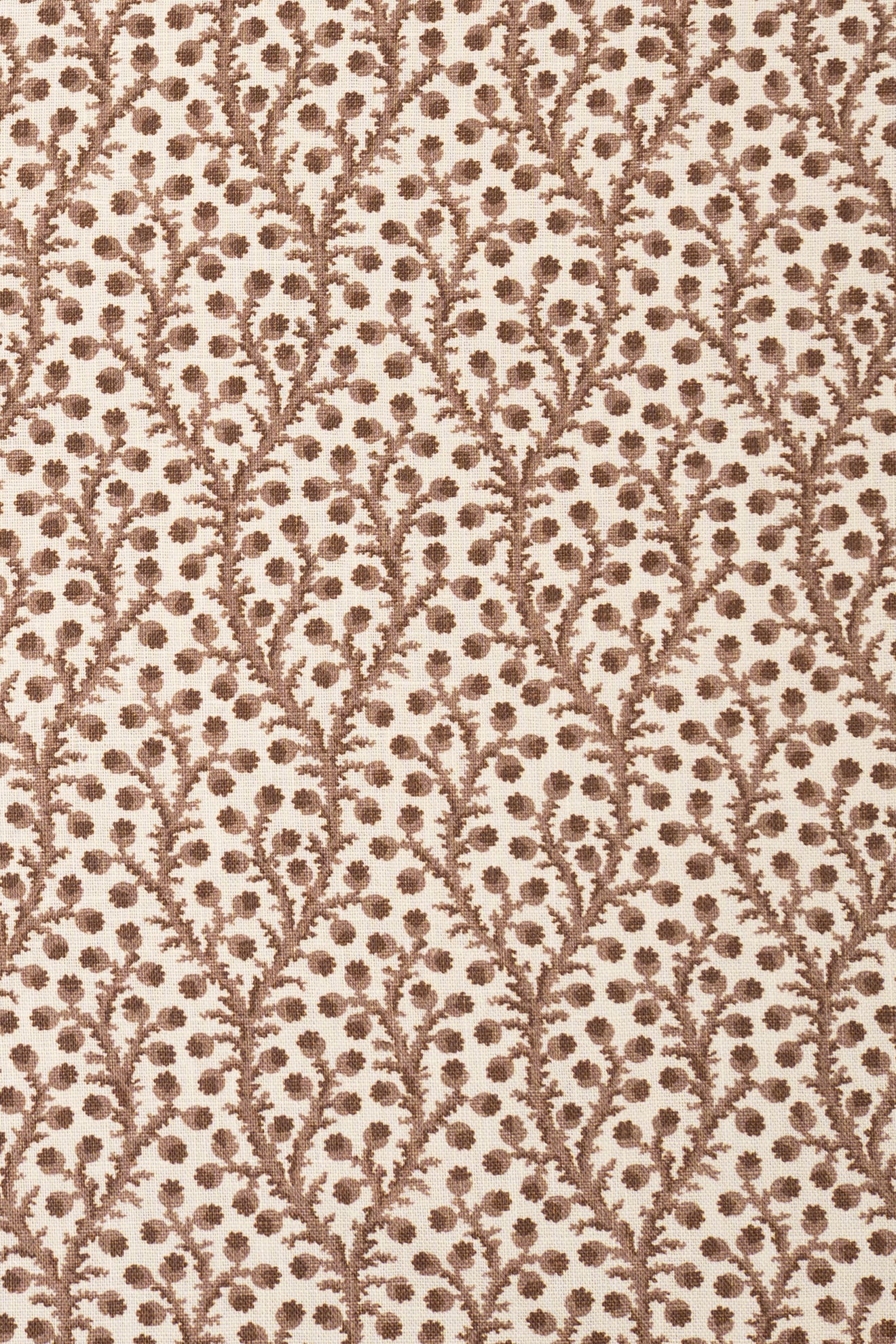 8- unearthly brown_WATERBERRY