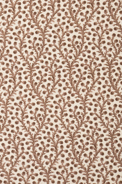 8- unearthly brown_WATERBERRY