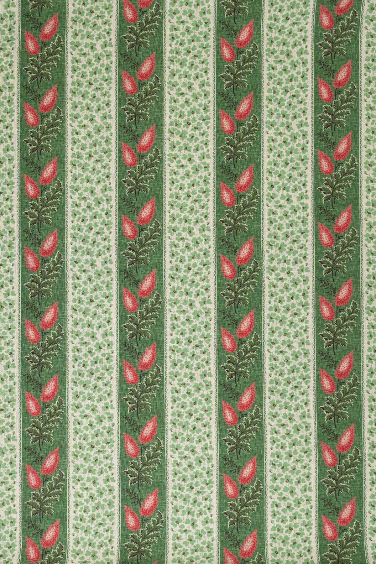 jm-1420 shamrock_VALENTINA