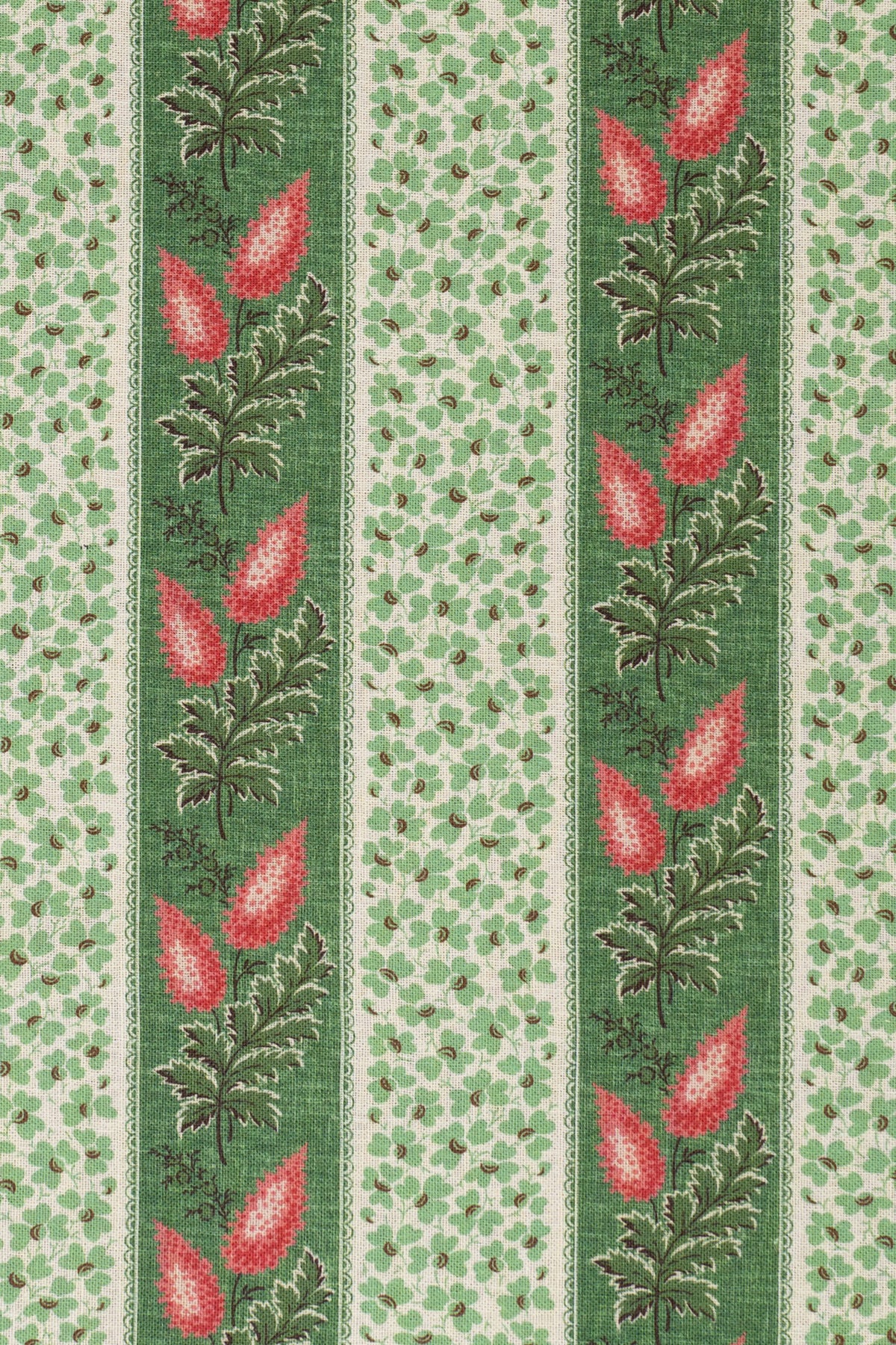 jm-1420 shamrock_VALENTINA