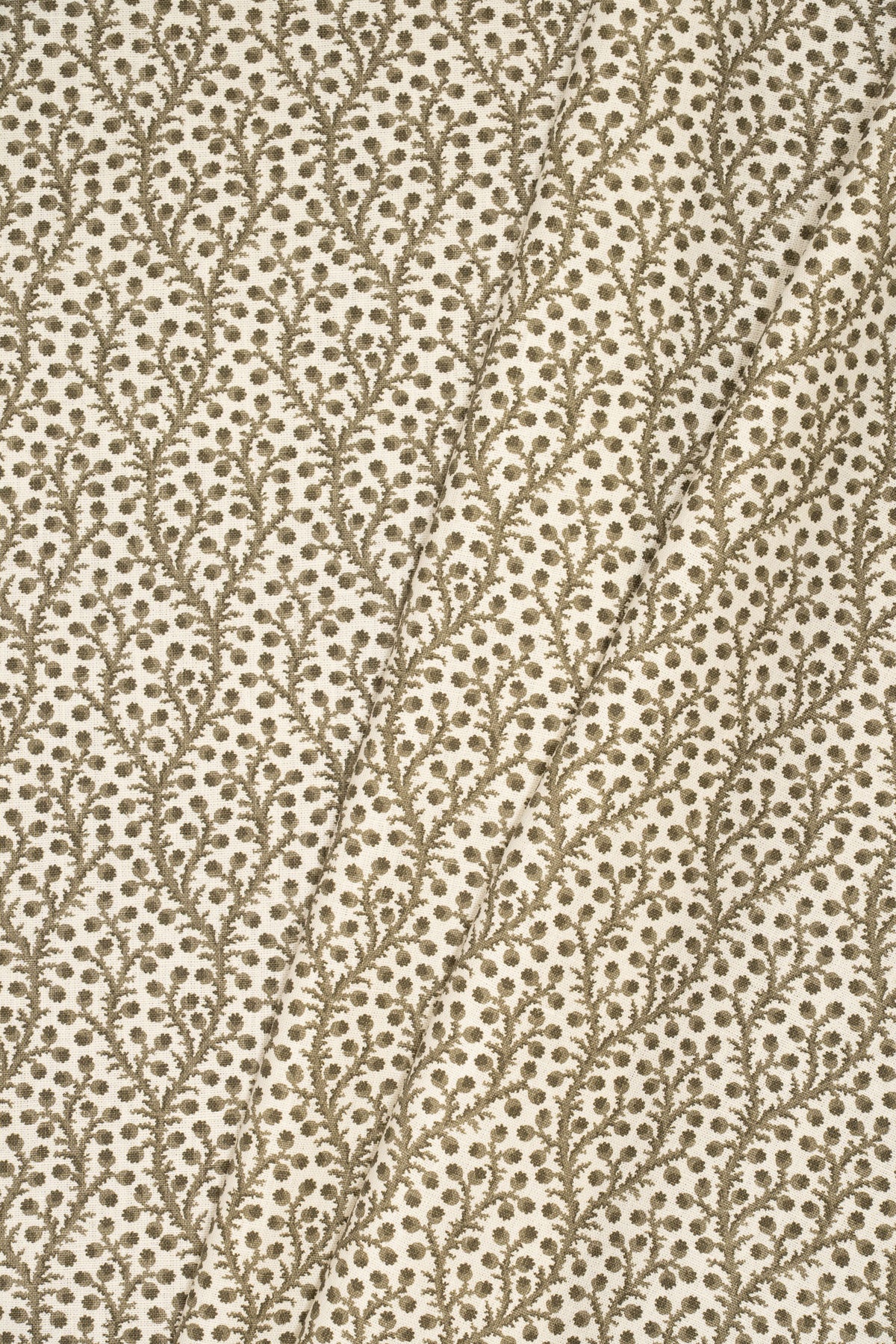 9- green olive_WATERBERRY