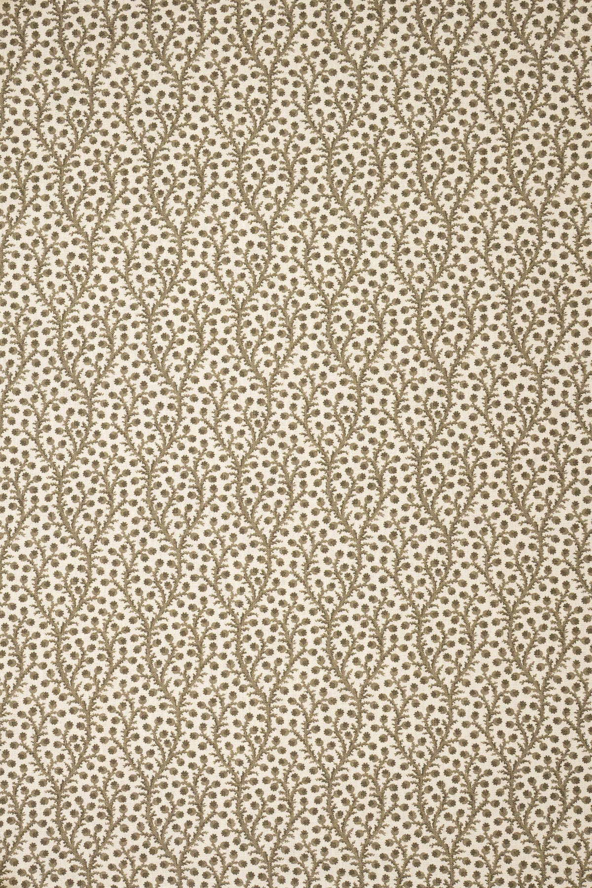 9- green olive_WATERBERRY