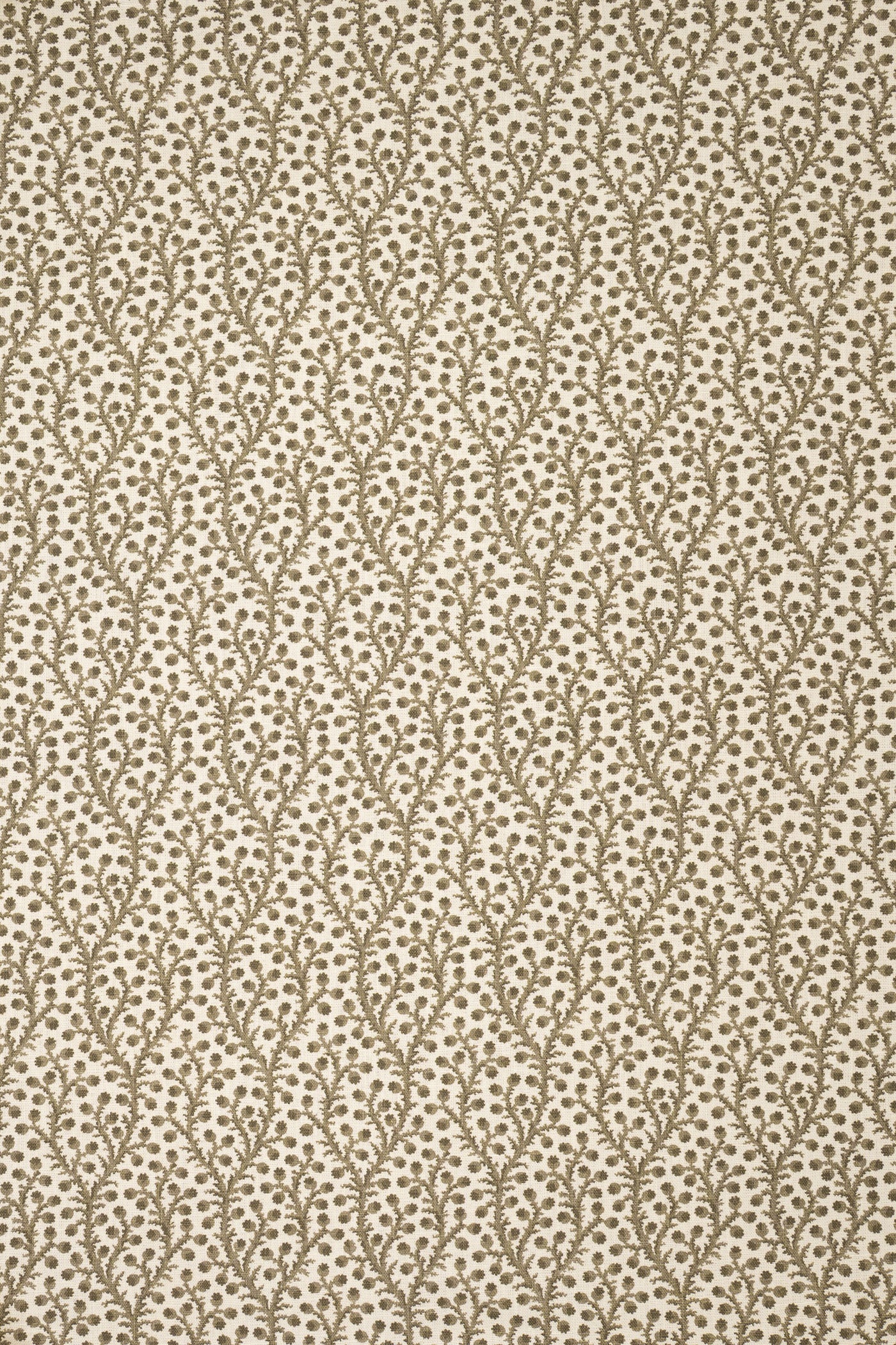 9- green olive_WATERBERRY