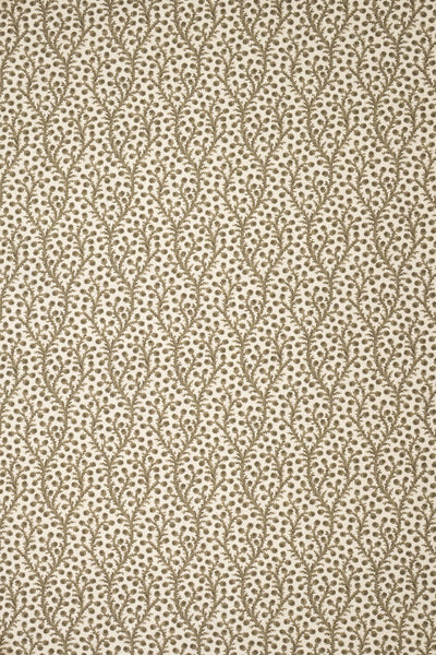 9- green olive_WATERBERRY