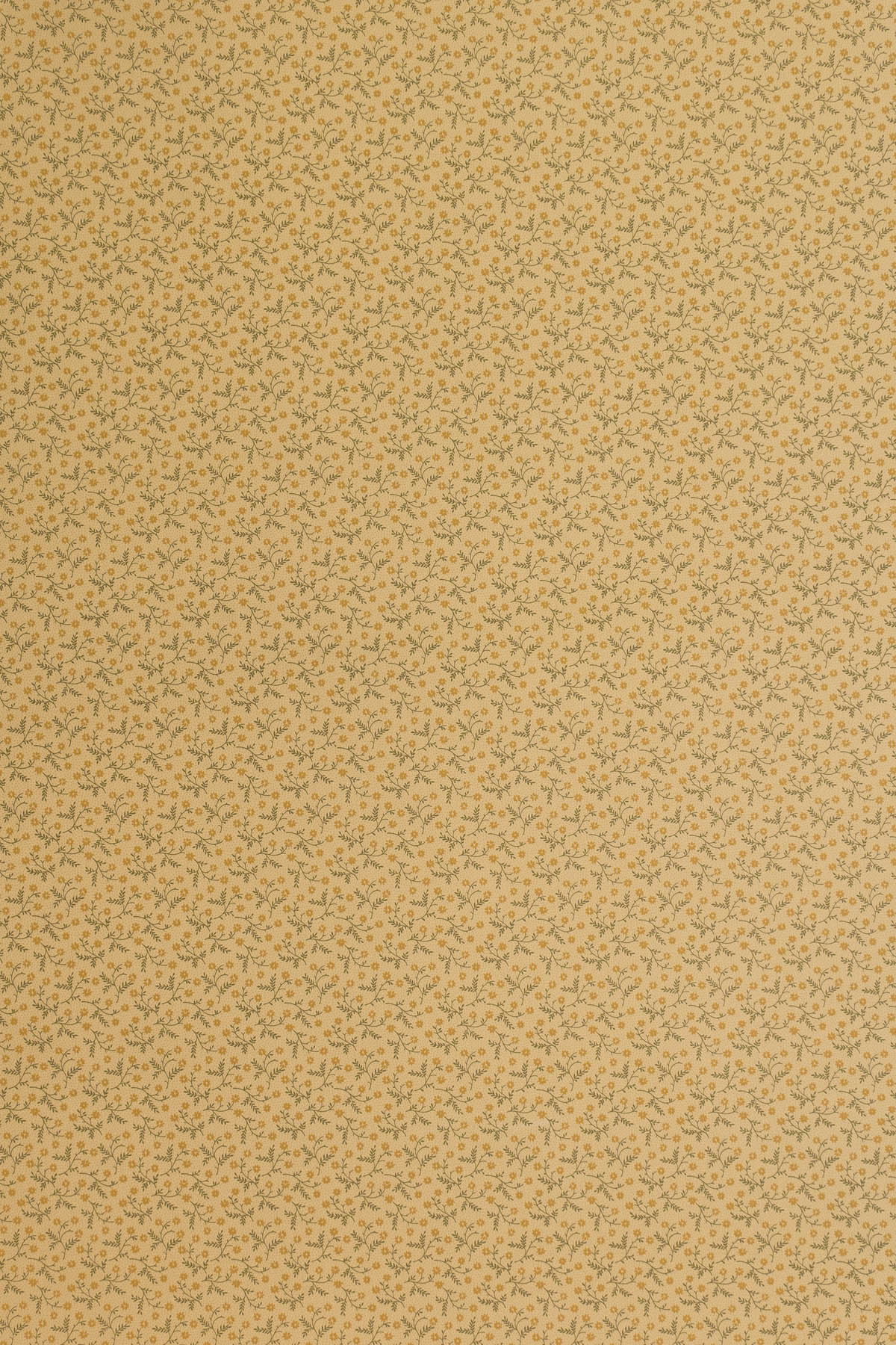 jmp-lizzie-03 chartreuse/lilac_LIZZIE wallpaper